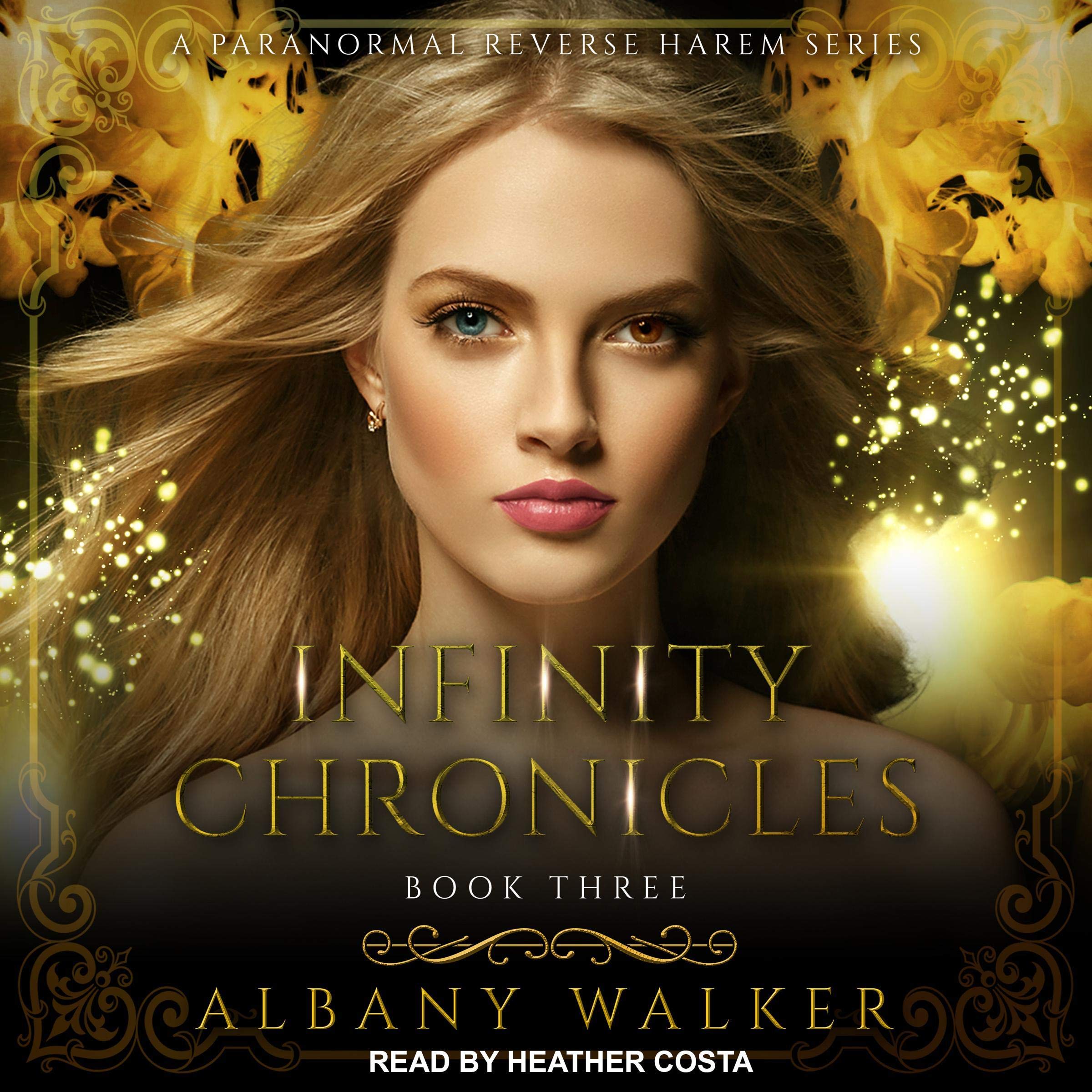 Cover art for Infinity Chronicles Book Three