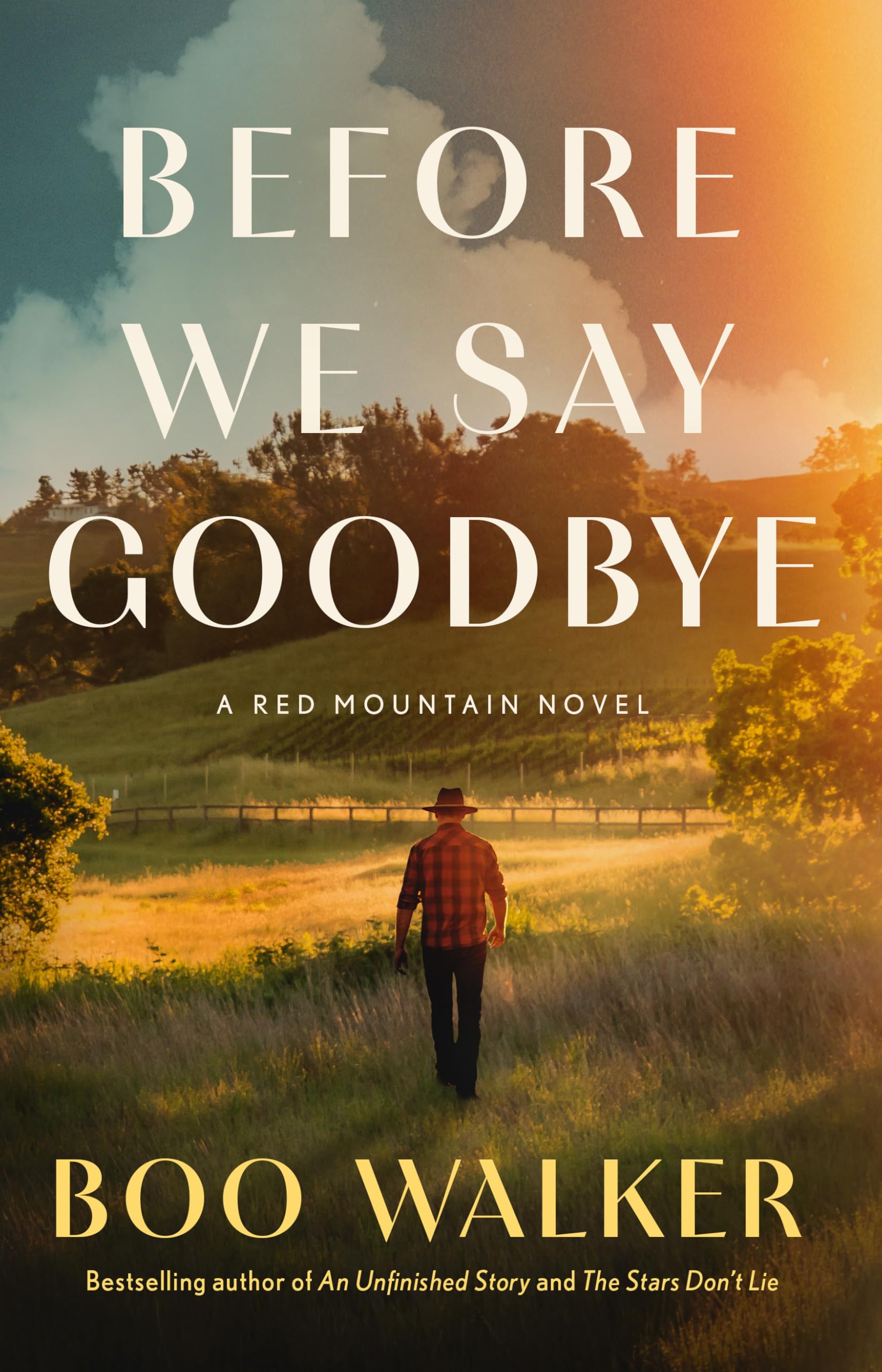 Before We Say Goodbye: A Red Mountain Novel