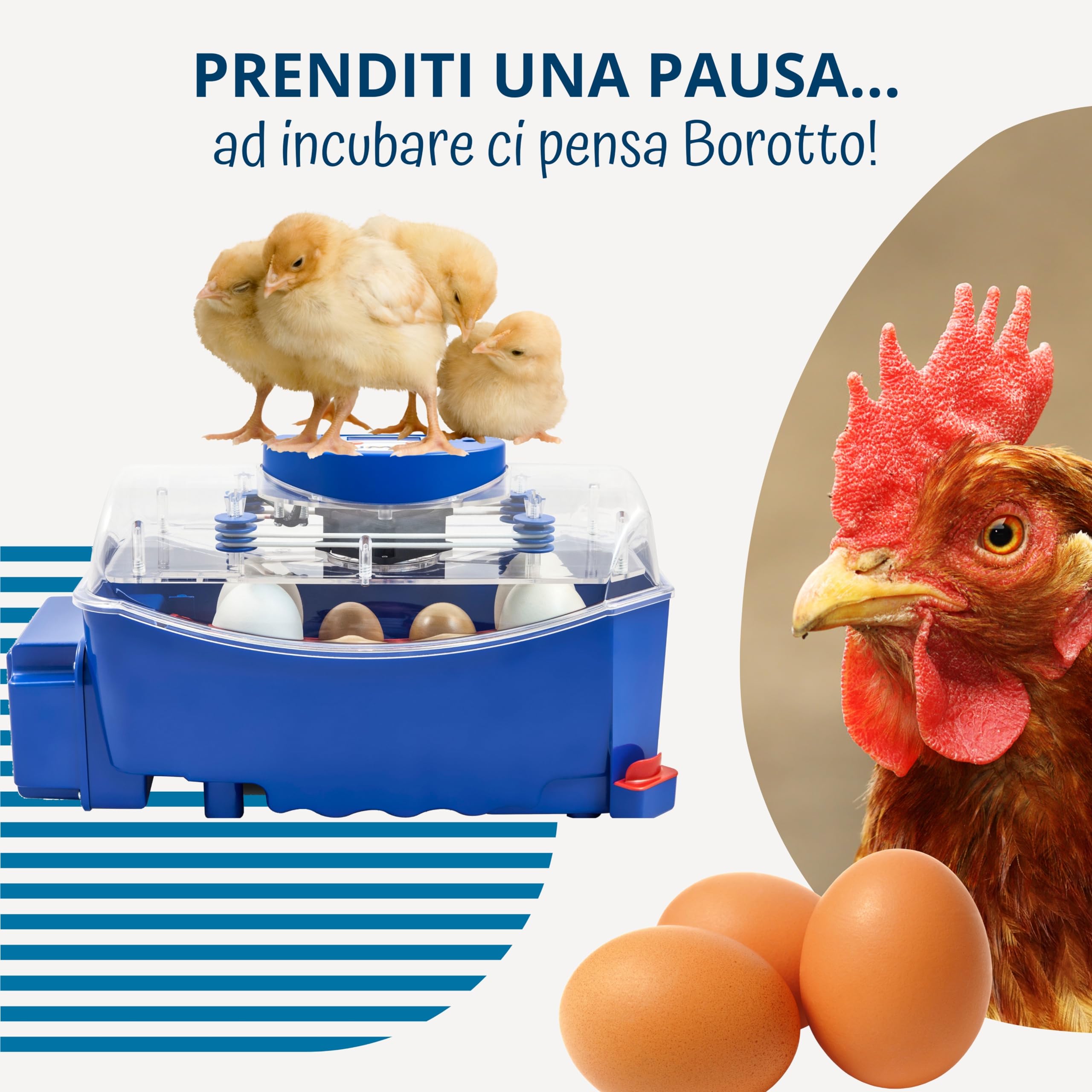 Borotto Lumia 8 | Incubatrice per Uova Automatica per 8 Uova o 32 Piccole con Girauova Automatico e Controllo della Temperatura | Made in Italy