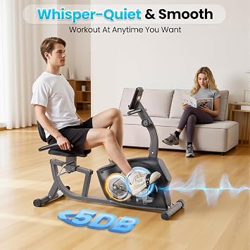 BODIOO Exercise Bike, Recumbent Exercise Bike for Seniors, Stationary Bike for Home Workout, 8-Level Magnetic Resistance, Quiet Smooth Ride, Comfortable Seat with Backrest, Heart Rate Monitor, 300LB Capacity