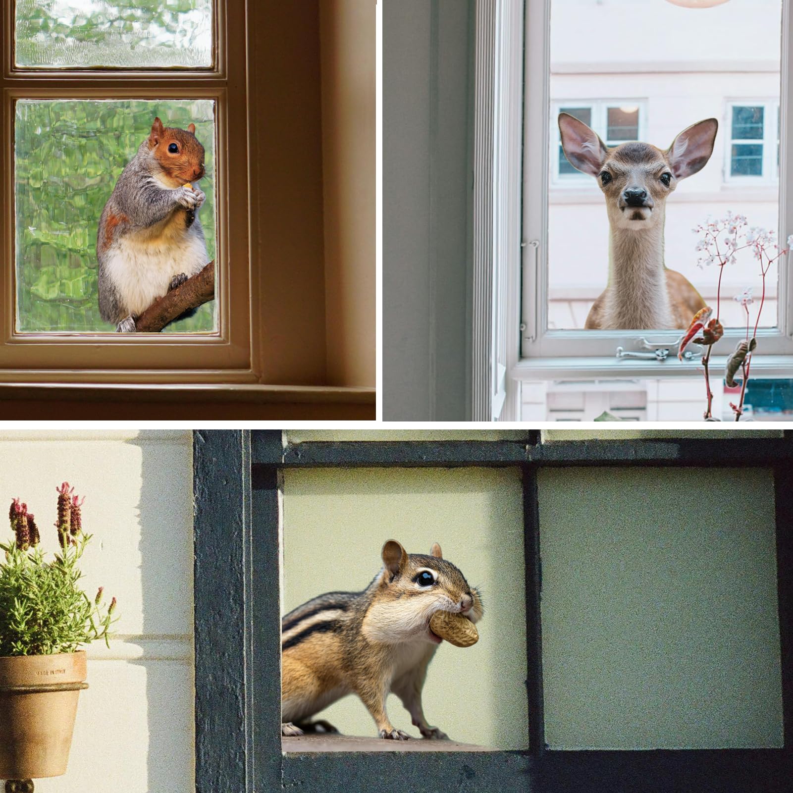 ROLY BEE 3 PCS Woodland Animals Squirrels Deer Hamsters Realistic Fun Gazing Window Stickers Reusable Anti-Collision Double Sided Window Stickers Living Room Bedroom Window Glass Door Decoration