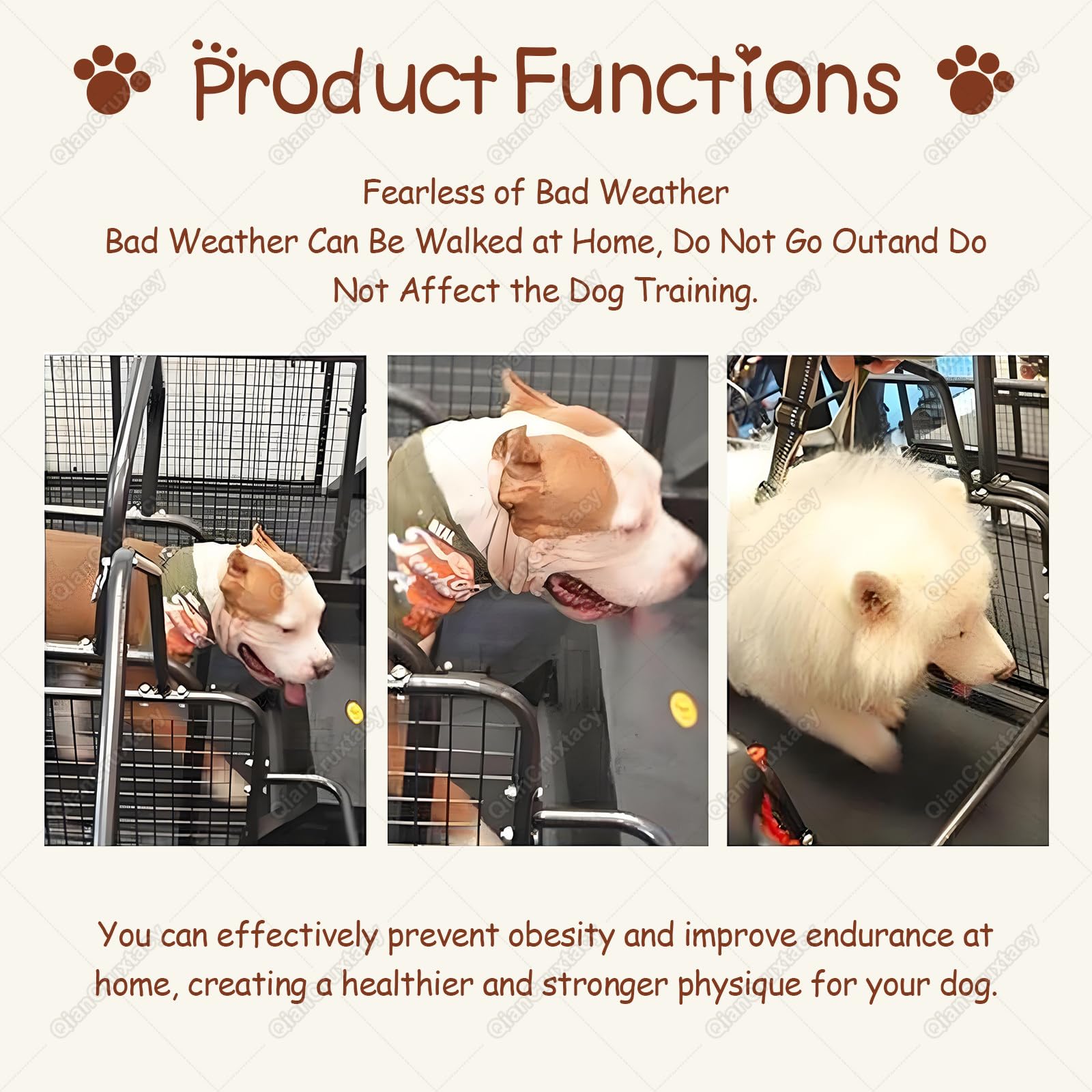 Máquina de Entrenamiento para Perros con Pantalla LCD, Cinta de Correr para Uso Doméstico, Funcionamiento Silencioso, Capacidad Máxima 175 lbs, para Mascotas Activas