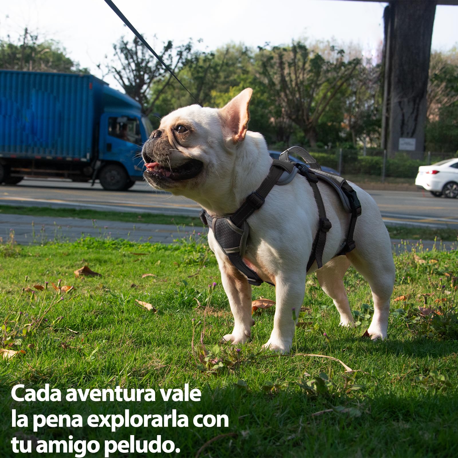 Huntboo Arnes Perro Pequeño Mediano Grande, Arnes Antiescape Perro, Arnés Reflectante para Perros con Asa, Transpirable, Chaleco Ajustable para Caminar, Equipamiento para Correr (Negro, XL)