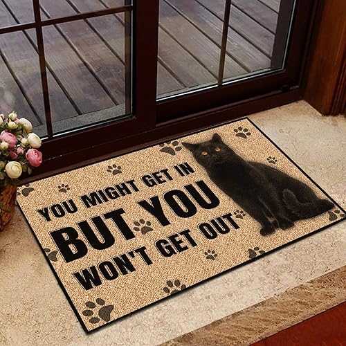 Agriism Tapete para puerta de entrada interior porche de bienvenida divertido tapete antideslizante para decoración del hogar decoración del hogar