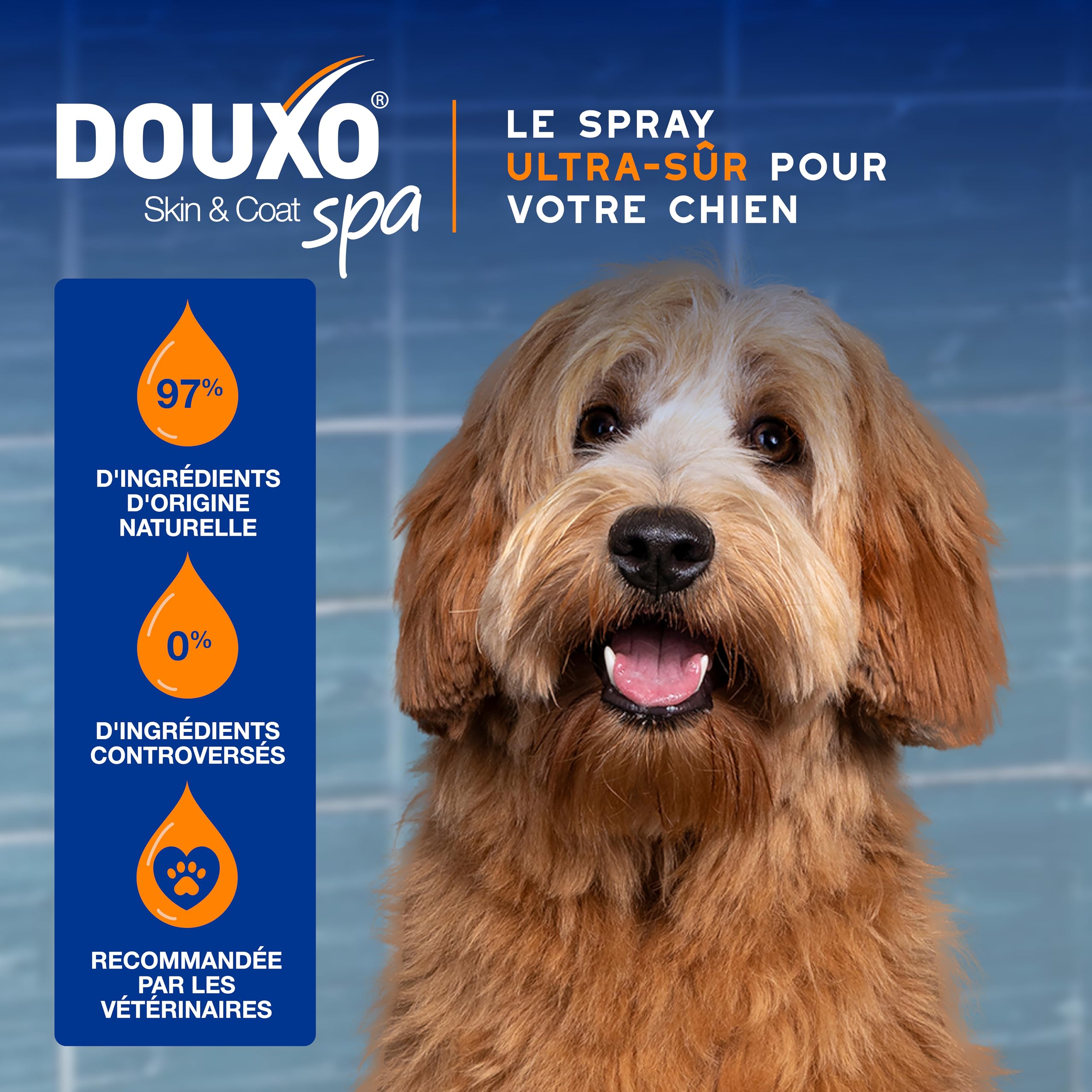 DOUXO Skin & Coat Spa - Ultra-Safe Spray démêlant pour Chiens, 340mL, démêle et nourrit Le Pelage en Toute sécurité, Laisse Le Pelage Doux, Soyeux et sans Noeuds, Formule respectueuse de la Peau.
