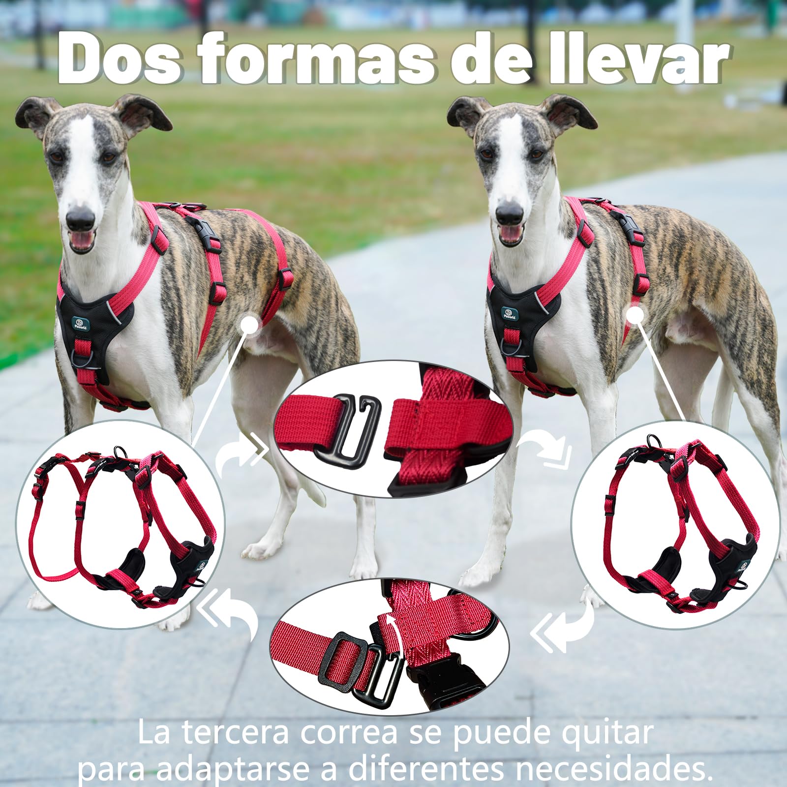 Arnes Antiescape Perro, Arnes Antitirones Perro, Arnes Perro Pequeño, Ajustable, Duradero, Transpirable, Sin Estrangulamiento, Entrenamiento y Paseo al Aire Libre (Rojo Rosa, S)