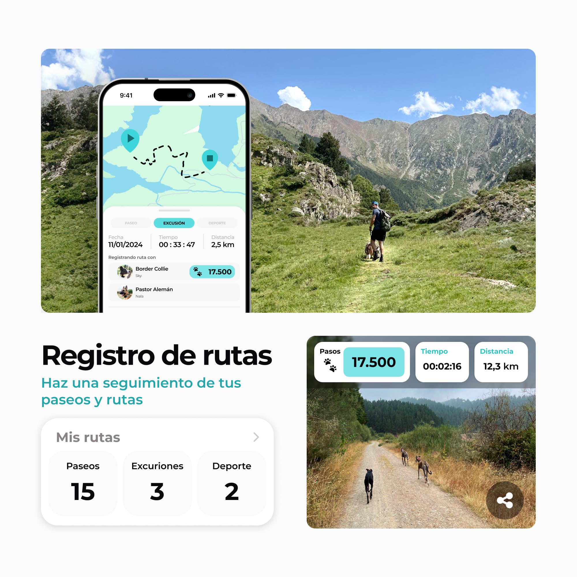 Series 2 - Collar GPS para Perros Control vía App - Localización Internacional en Tiempo Real - Salud Seguimiento - 3 Zonas Seguras - Hecho en España