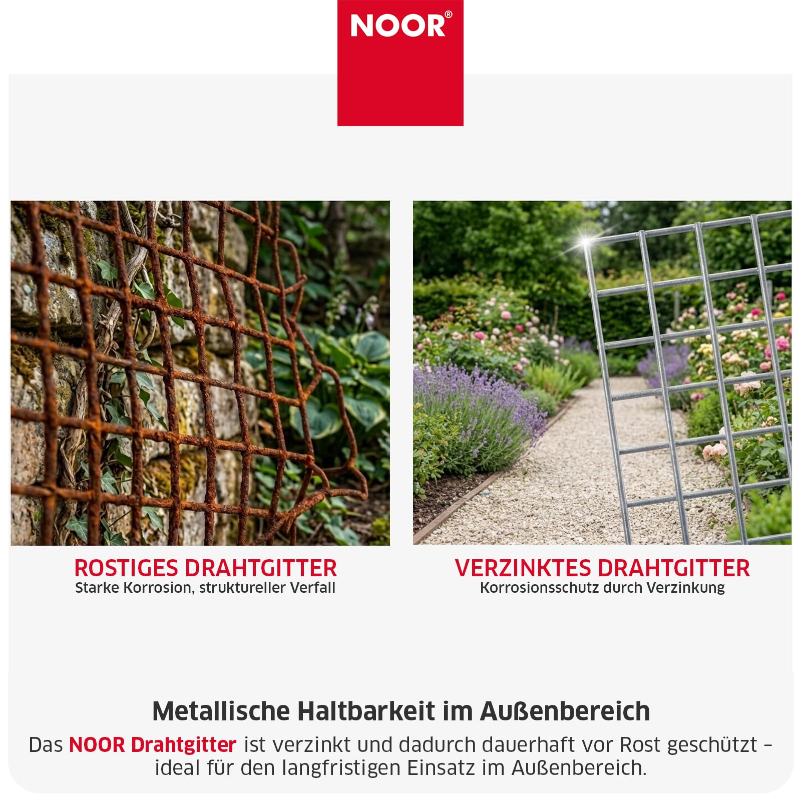 NOOR Drahtgitter - Volierendraht verzinkt 13 mm - Silber 100x1000 cm | vielseitiger Drahtzaun für Wühlmausschutz, Beete & Kleintiergehege - engmaschig, rostbeständig, langlebig & zuschneidbar