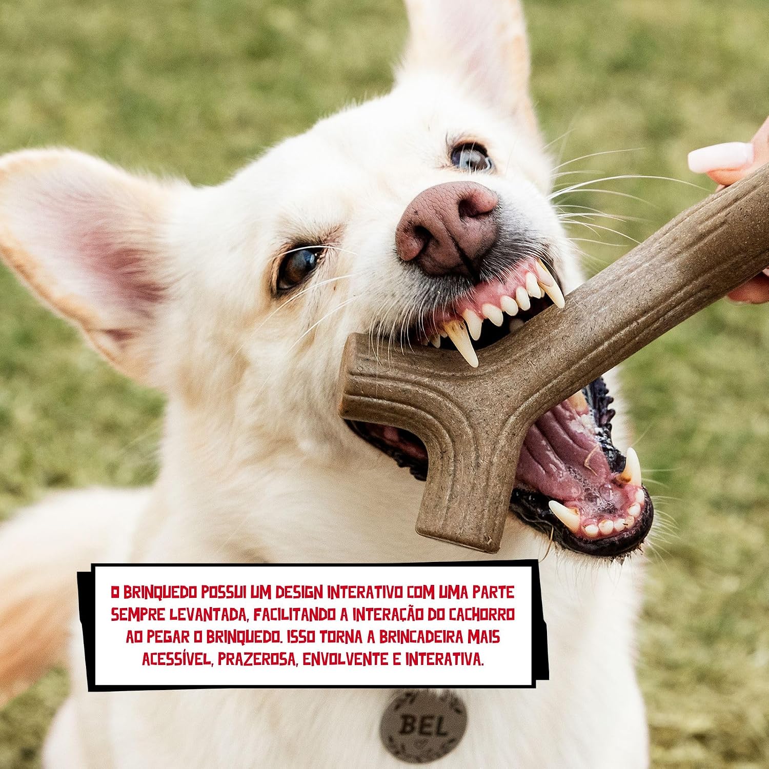 Germanhart Brinquedo Mordedor para Cães, Feito de Fibra de Coco, Resistente, Alivia a Ansiedade, 1 Unidade, Tamanho M, Marrom