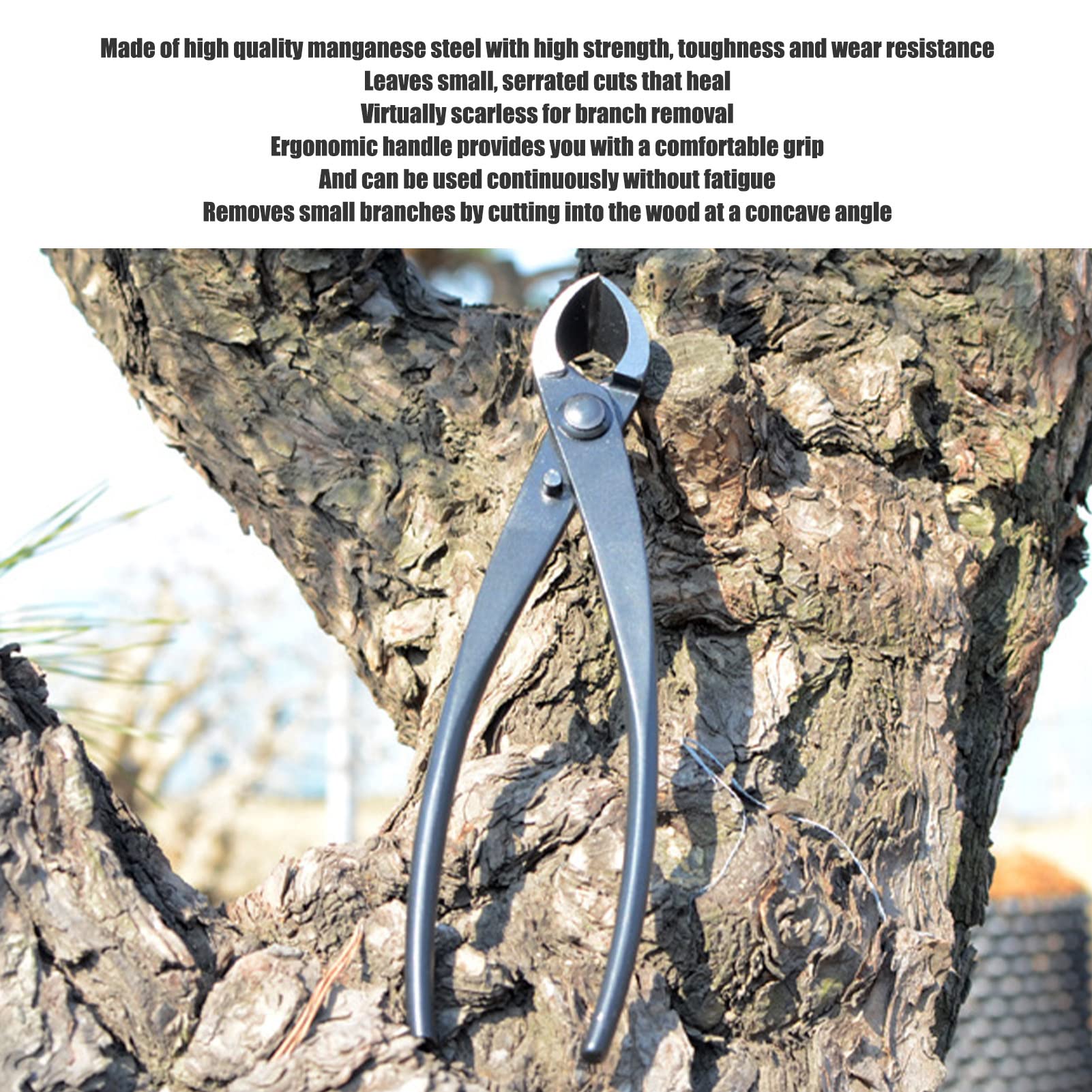 Coupe Branches Concave pour Bonsaïs, Pince Diagonale en Acier Au Manganèse, Presque Pas de Cicatrices, Poignée Ergonomique à Prise Confortable, Outil de Jardinage pour Le Modelage Des Bonsaïs