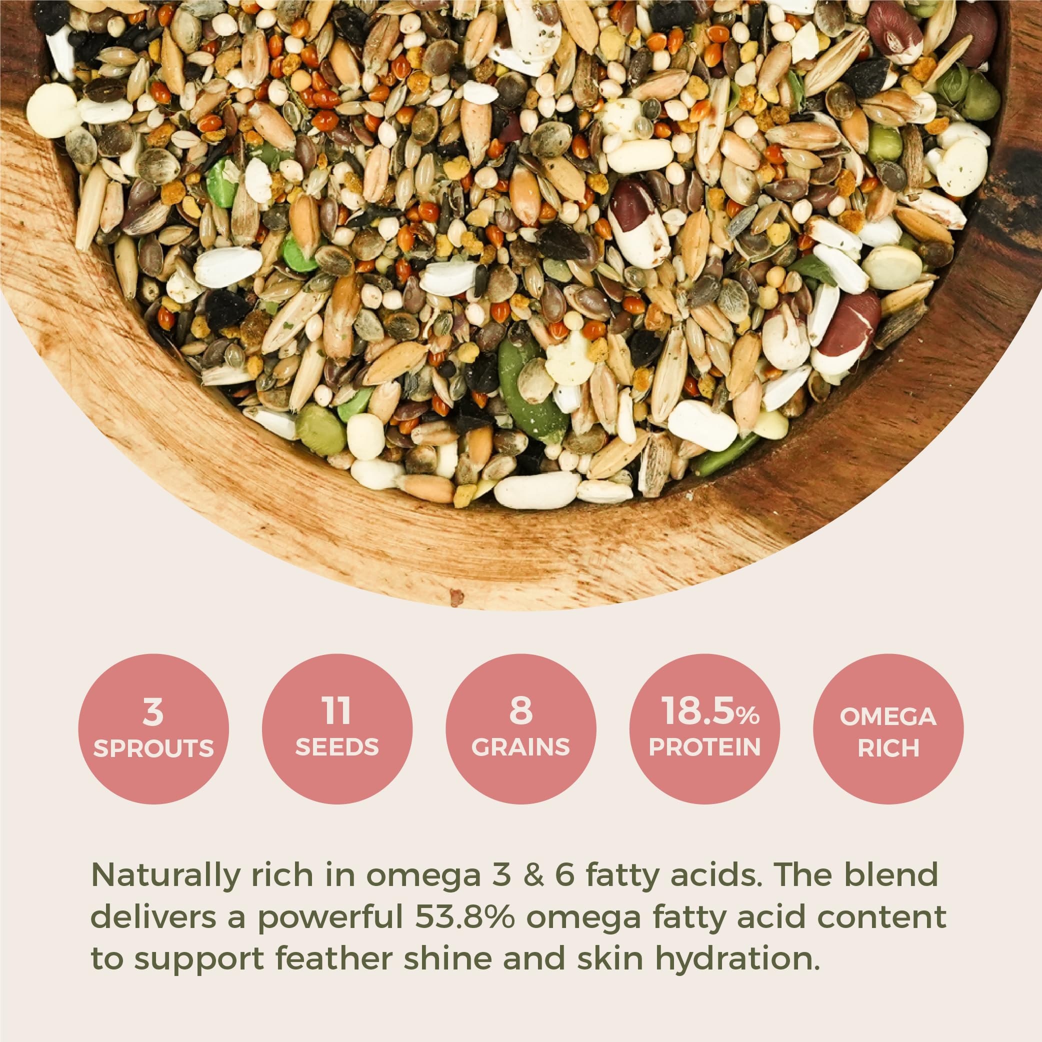 Feather Shine - Miscela ad alta potenza con polline d'api e germogli liofilizzati - Alimento per pappagalli di alta qualità per muta, allevamento e crescita - Ricco di Omega | 17,5% di