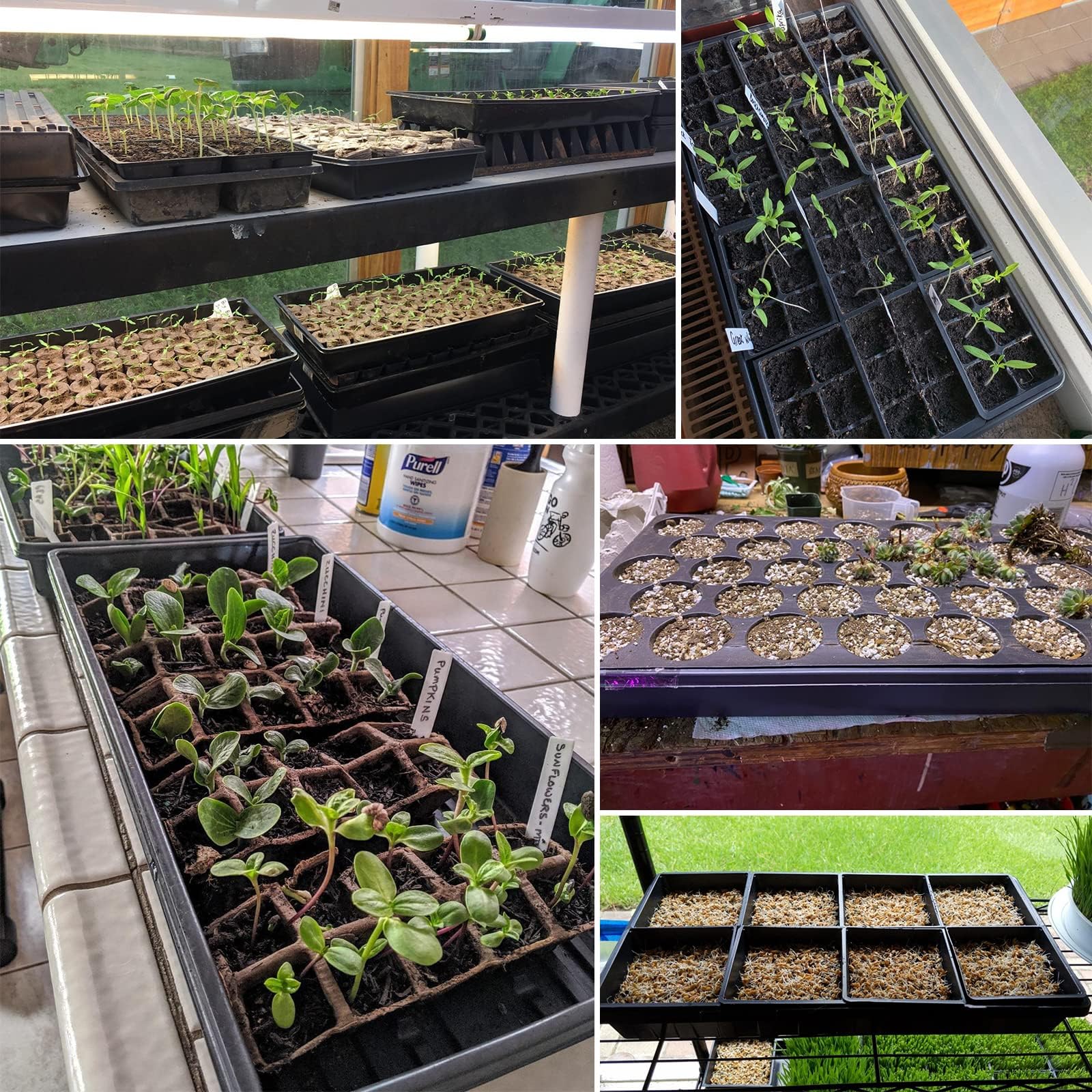 5 Stück Anzuchtplatten Pflanzen Schwarz 54 x 28 cm Anzuchtschalen Pflanzschalen Ohne Abflusslöcher für Pflanzenkeimung Microgreens Hydroponic Application
