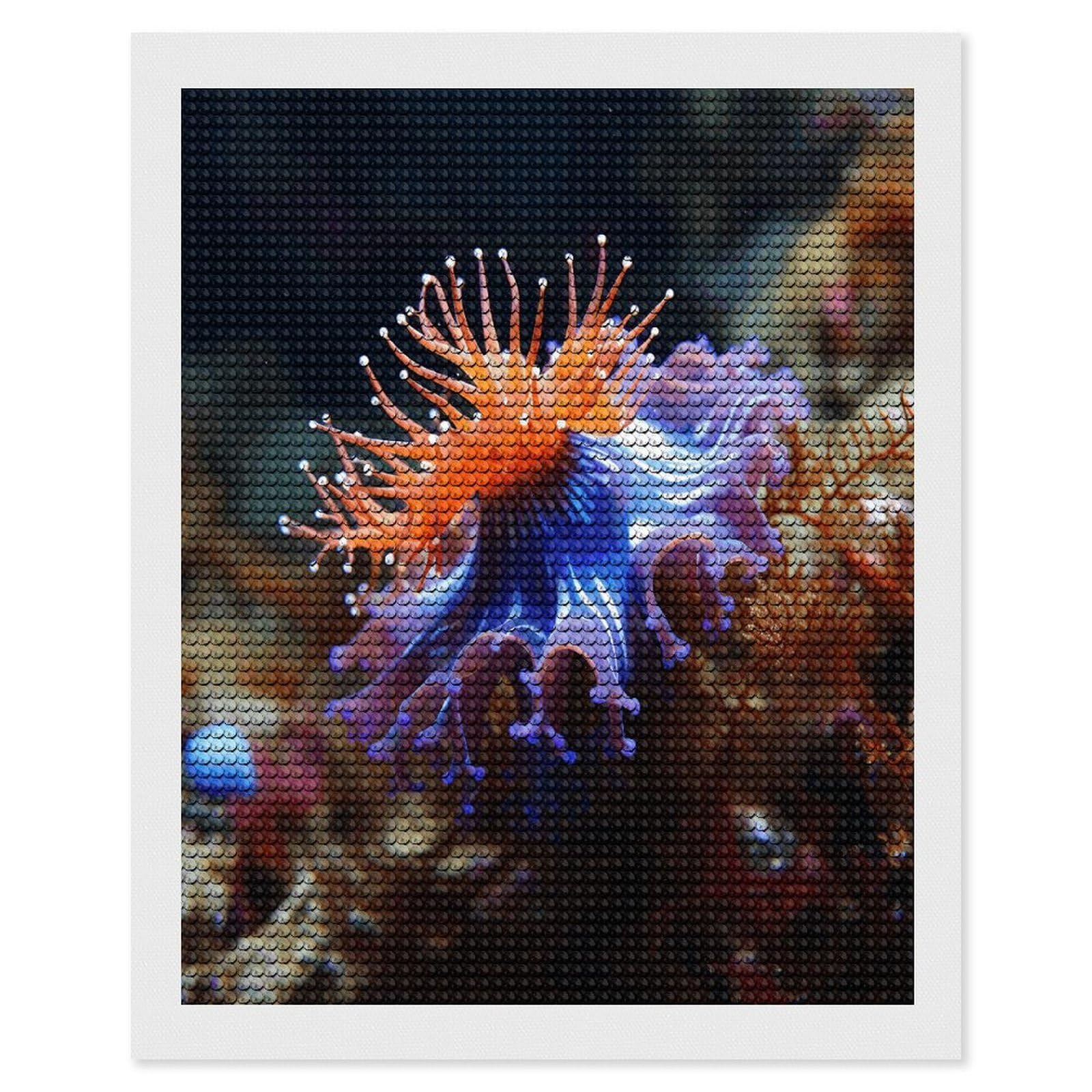 FekiLoot Nudibranch Diamond Art Kits for Adults Diamond Painting Kits for Beginners DIY Diamond Art Kits Round Full Drill Diamond Dot Gem Painting for Home Wall Decor Gift 16"x20"