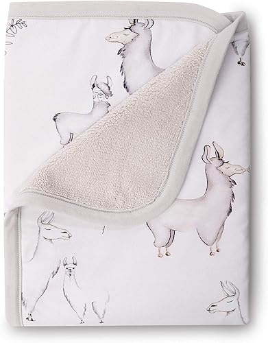 Oilo Manta de bebé, parte trasera de felpa suave de lujo y estampado de jersey 100% algodón turco, doble capa, 30 x 40 pulgadas, borde de jersey