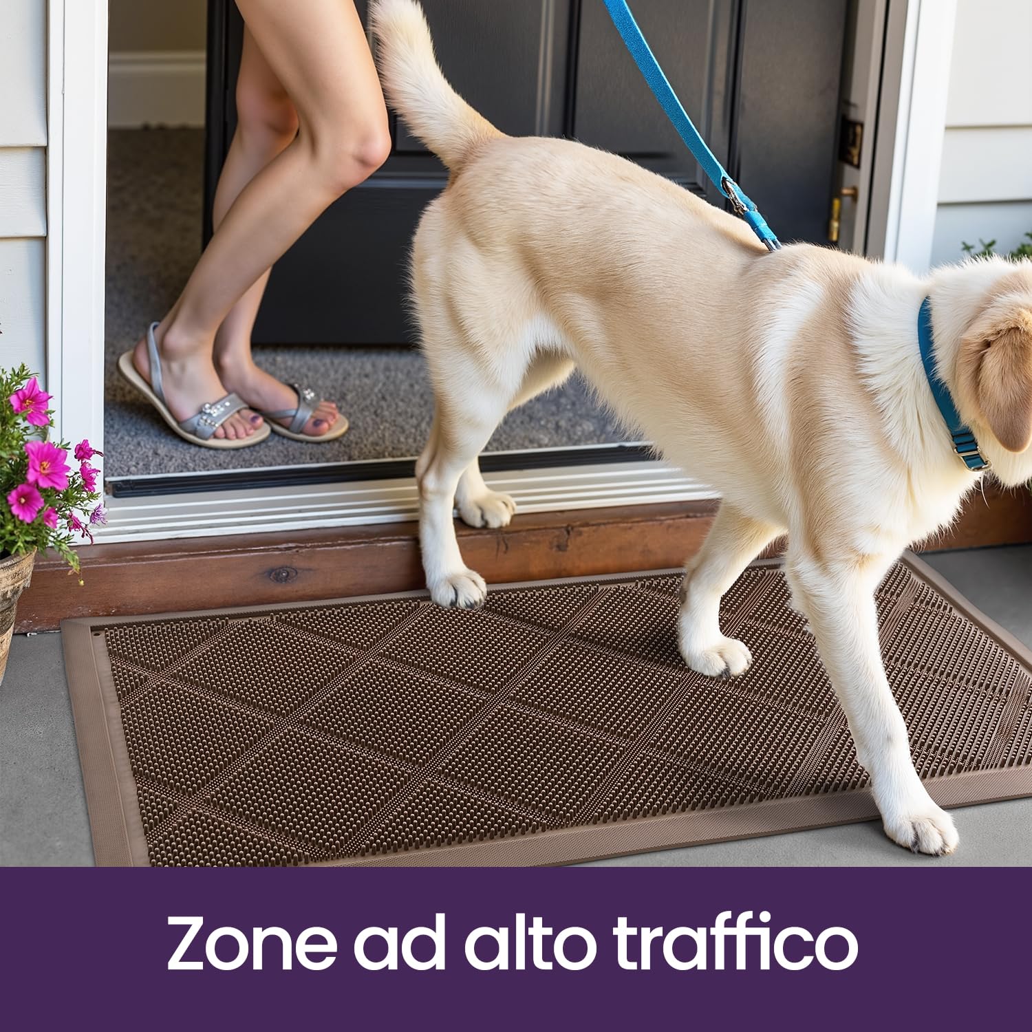 DEXI Zerbino Ingresso Esterno 43 x 90 cm, Antiscivolo e Impermeabile con Fori, Facile da Pulire, Tappeto da Esterno per Ingresso, Porta di Casa, Balcone e Terrazza, Marrone