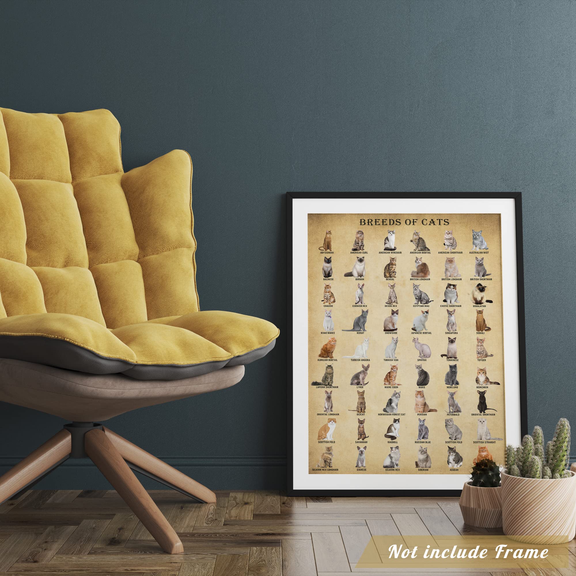 Poster In Metallo Vintage Per Amanti Dei Gatti Calico - Decorazione Da Parete 20x30 Cm, Regalo Per Bar E Caffetterie