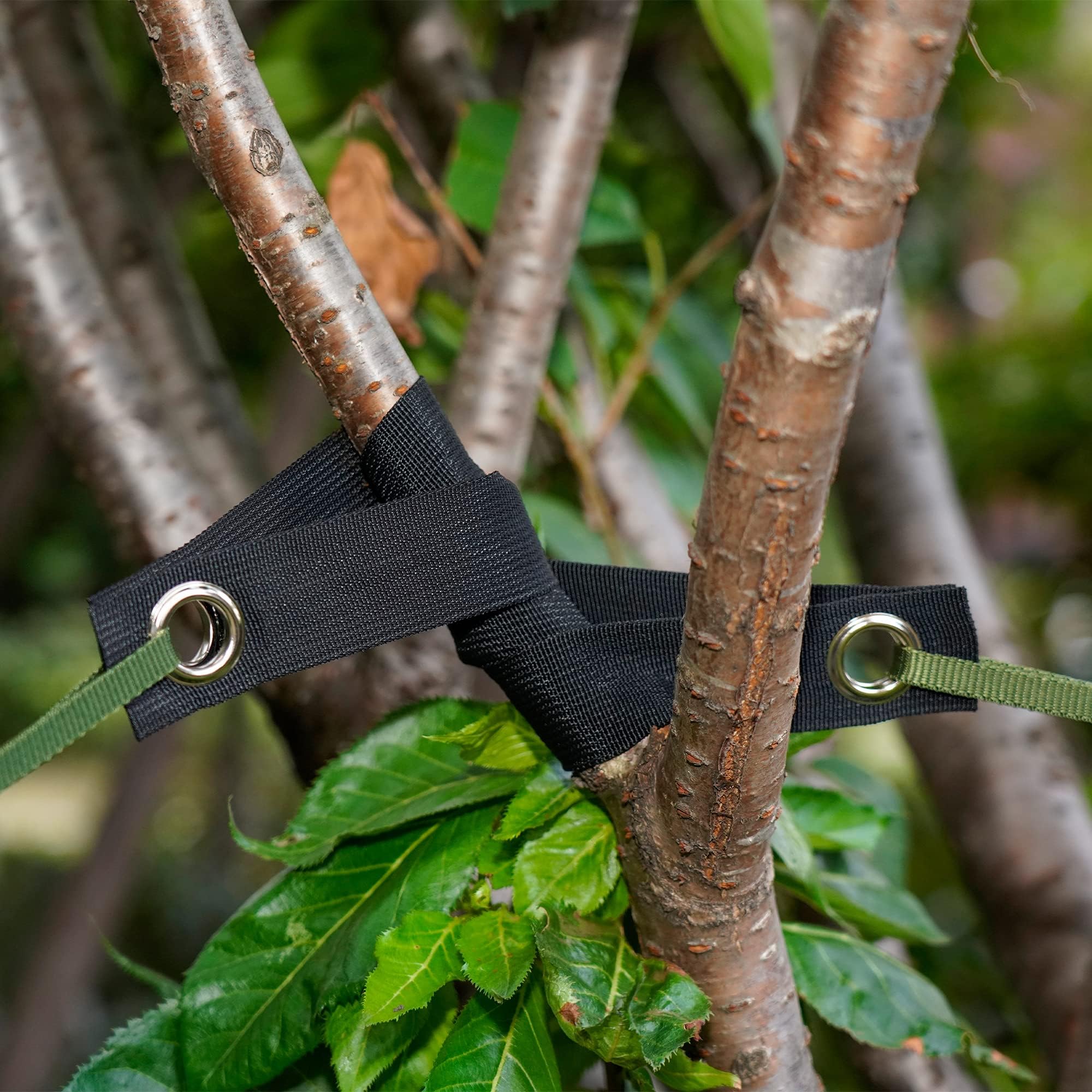 Sangles de Soutien pour Arbre avec œillets, 6 Pièces Sangles d'arbre, Attaches pour Arbres, Sangle Arbre Tuteur pour Jeunes Arbres Nouvellement Plantés et Protection Contre Les Ouragans
