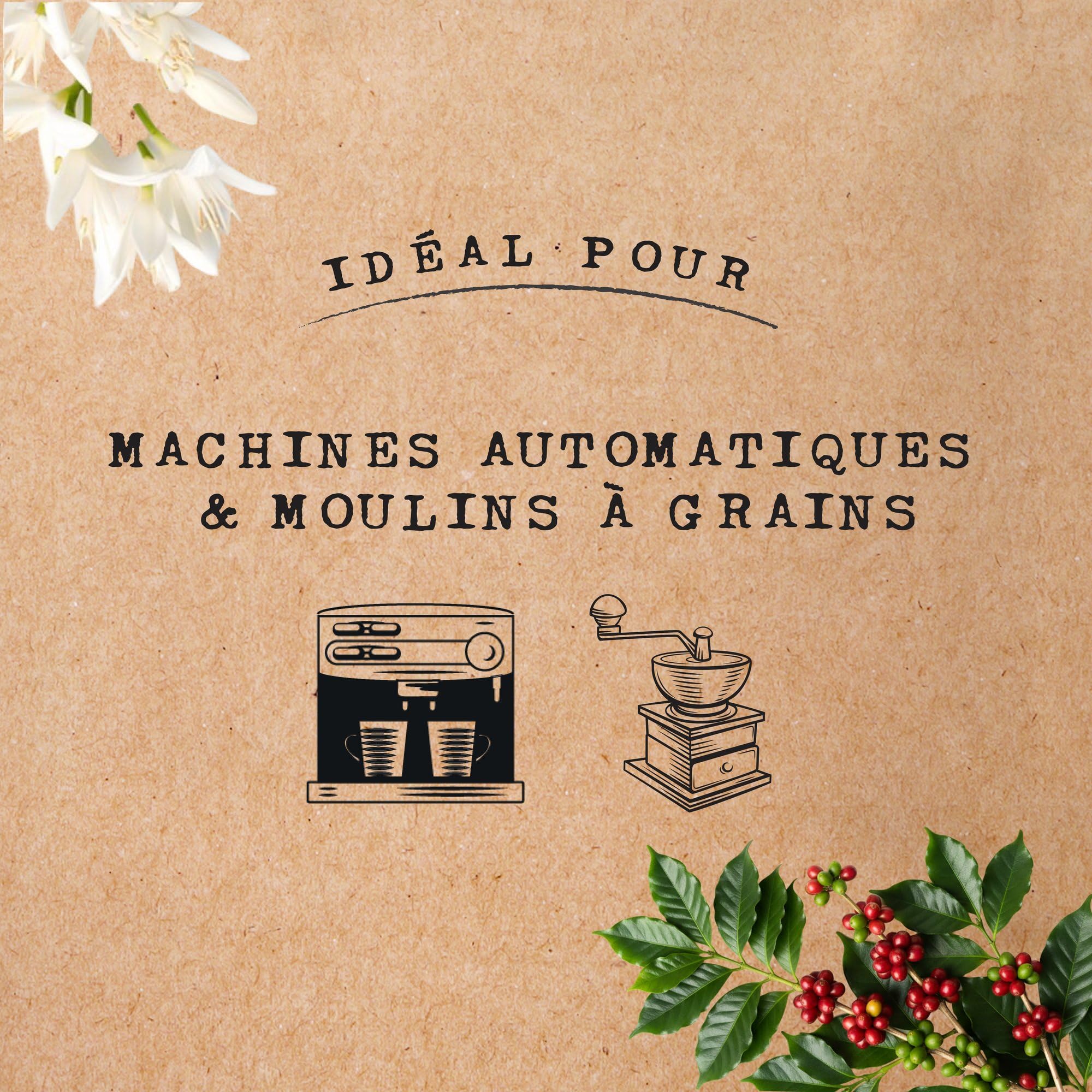 Cafés Méo - Café en Grains Biologique Intense Pur Arabica - 3 kg - Intensité 9/10 - Arômes Authentiques, Corsé et Intense - Agriculture Biologique - Lot de 6 x 500 gr