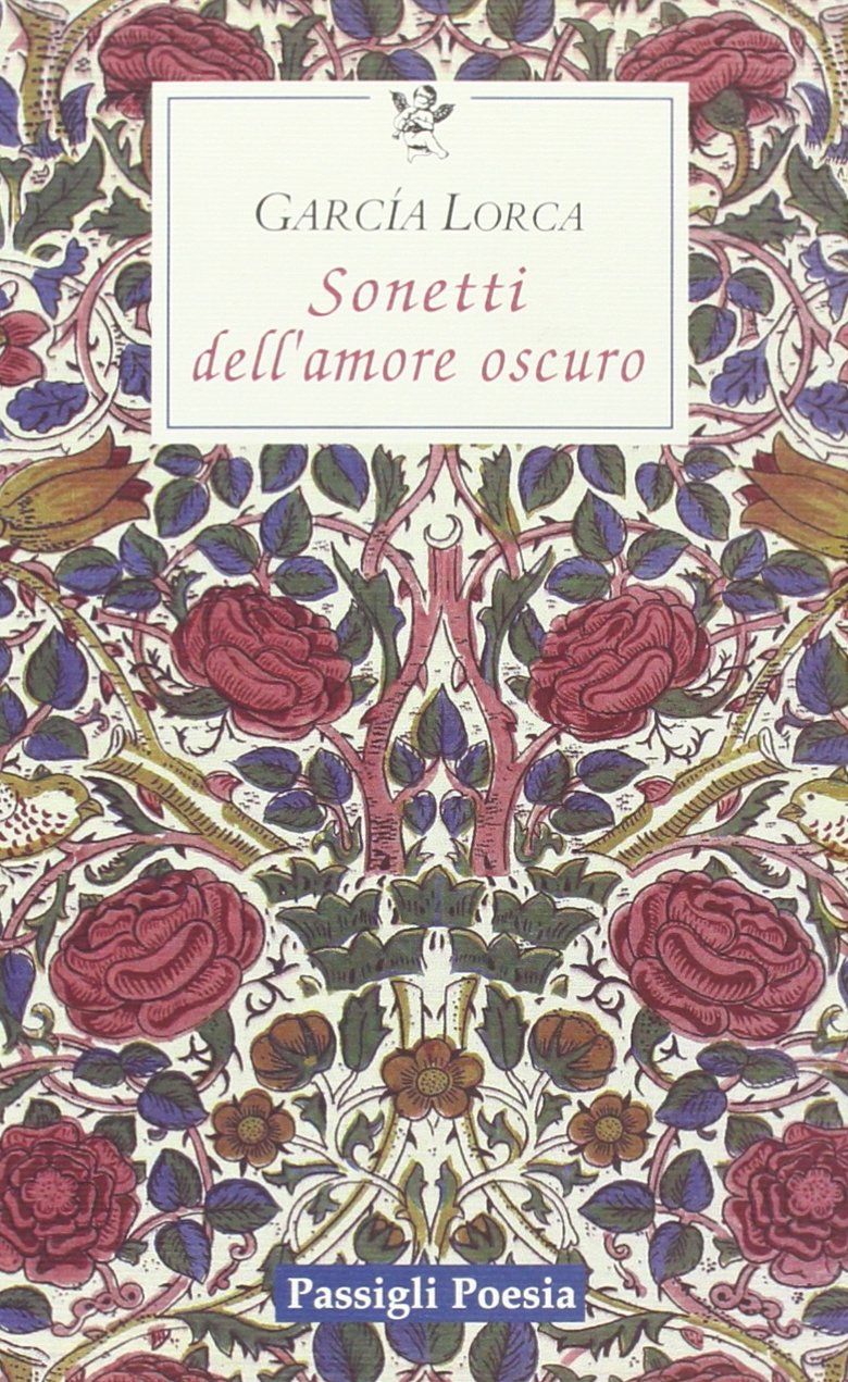 Sonetti dell'amore oscuro. Testo spagnolo a fronte