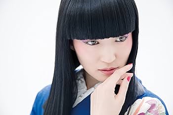 【送料込・超希少品】日本の絞り技法 実物見本裂付限定版 / 安藤宏子 日本の絞り(安藤宏子 本文) / 古本、中古本、古書籍の通販は