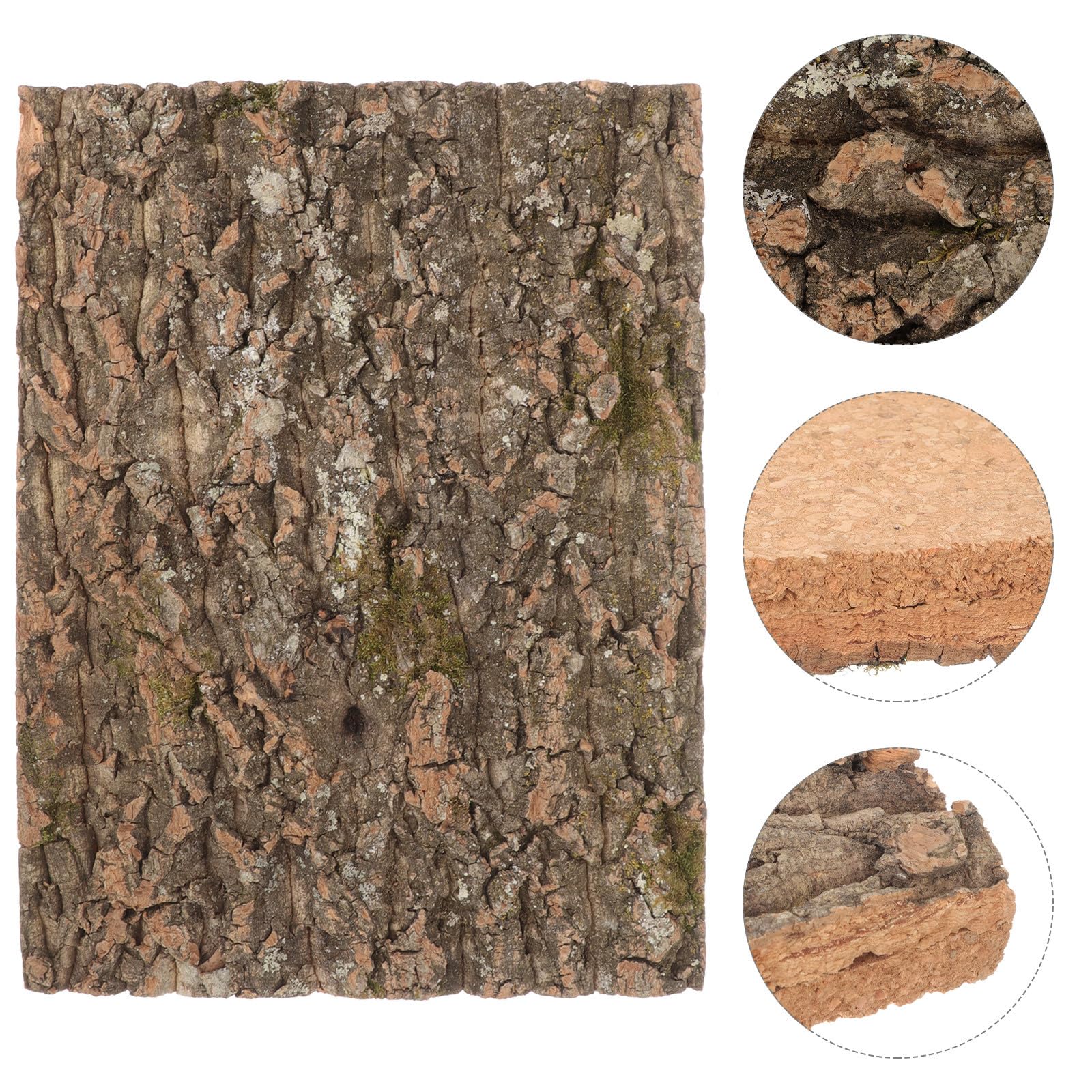 BESPORTBLE Cubierta de Corcho Natural para Ambientación de Terrarios, Plataforma Estable para Reptiles, Protección contra Humedad, Panel de Pared para Acuarios y Terrarios
