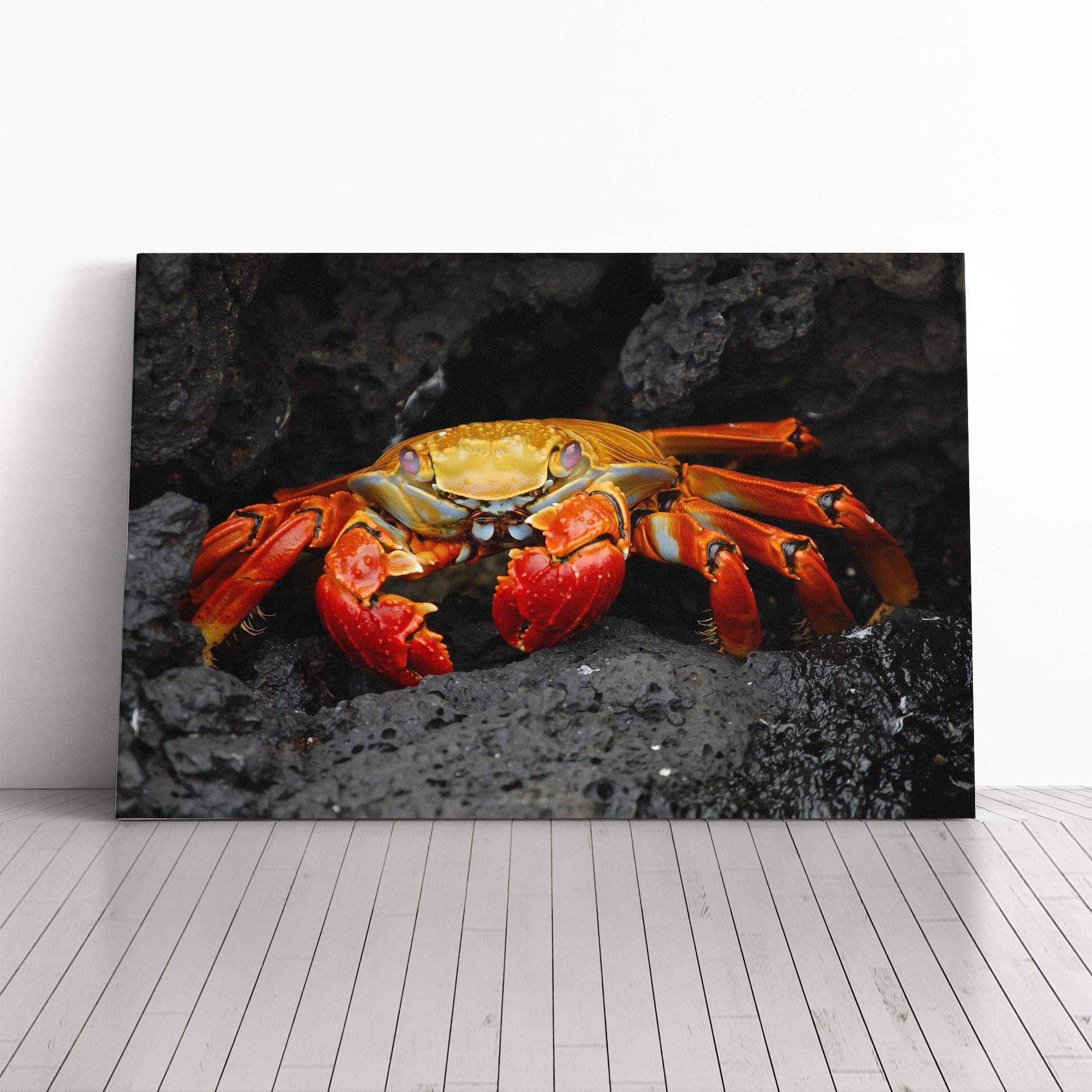 Crab Vol.2 Canvas Print | Gallery Wrapped 30mm Frame Wall Art | 20x14 inches | Ready to Hang | Modern Picture | Living Room Bedroom Lounge Office