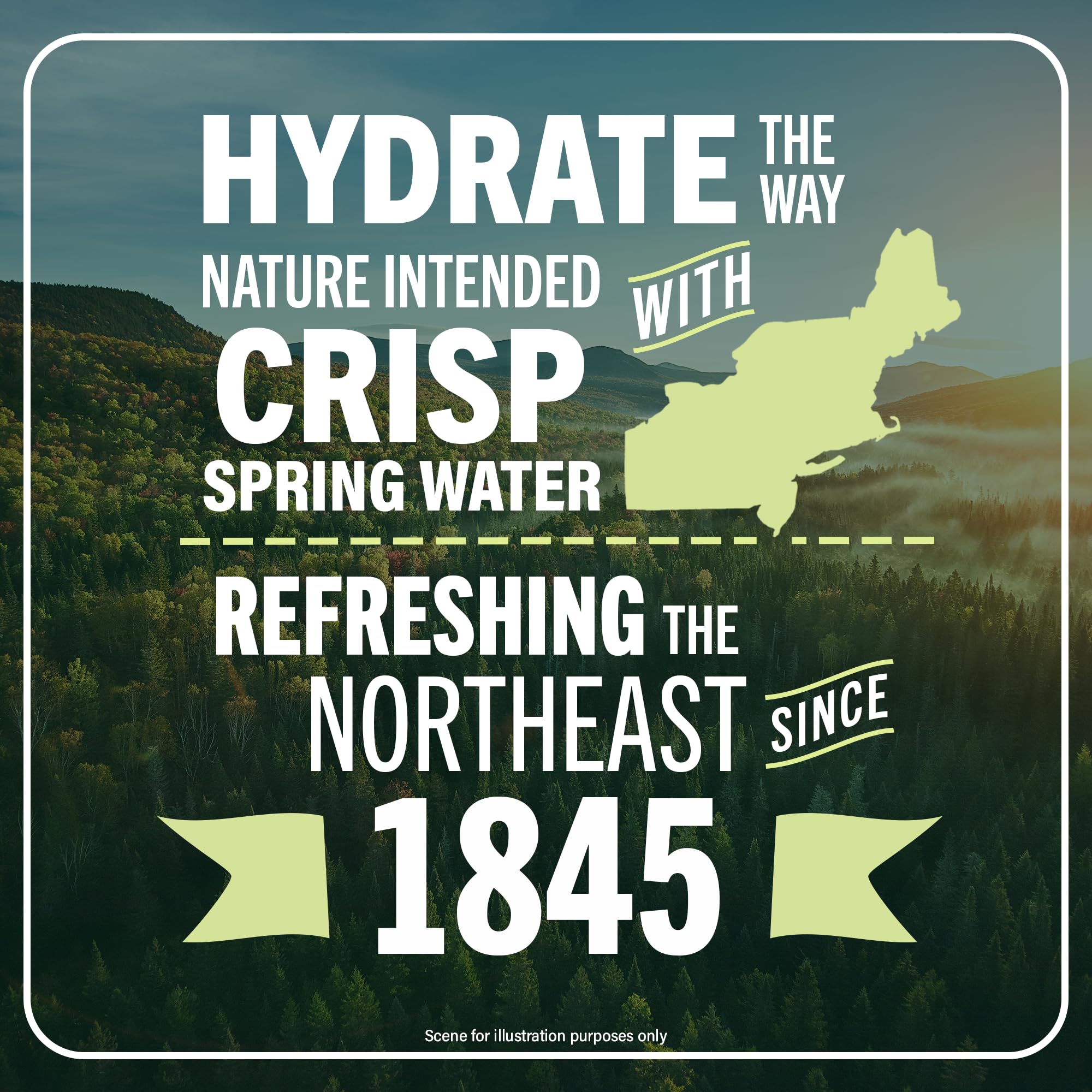 Poland Spring Maine Spring Water Aluminum Bottle – Crisp, Still Bottled Water with Naturally Occurring Minerals & Electrolytes for Taste - 12 Pack- 25 fl oz