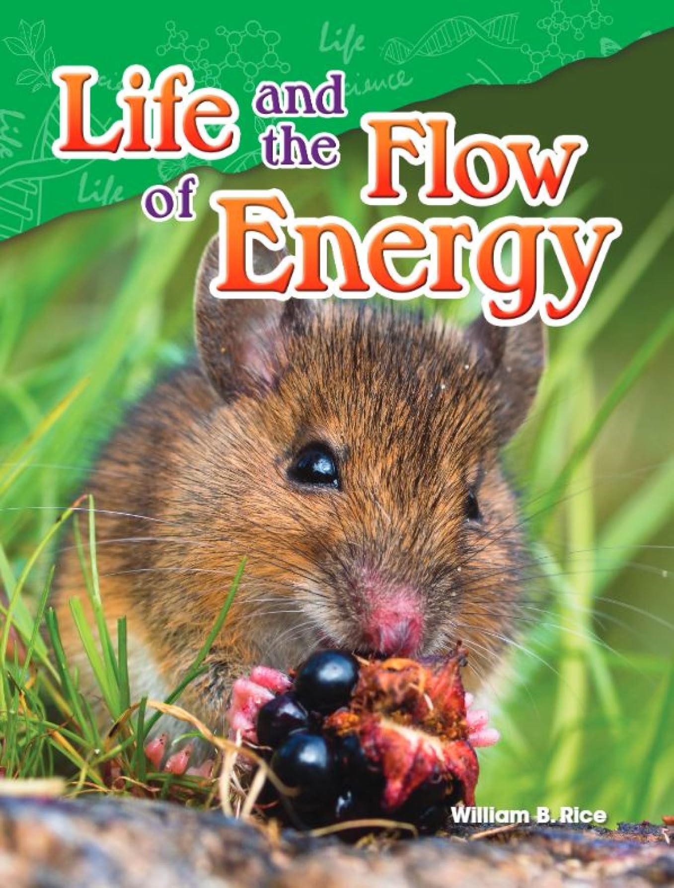 Life and the Flow of Energy (Science Readers: Content and Literacy)
