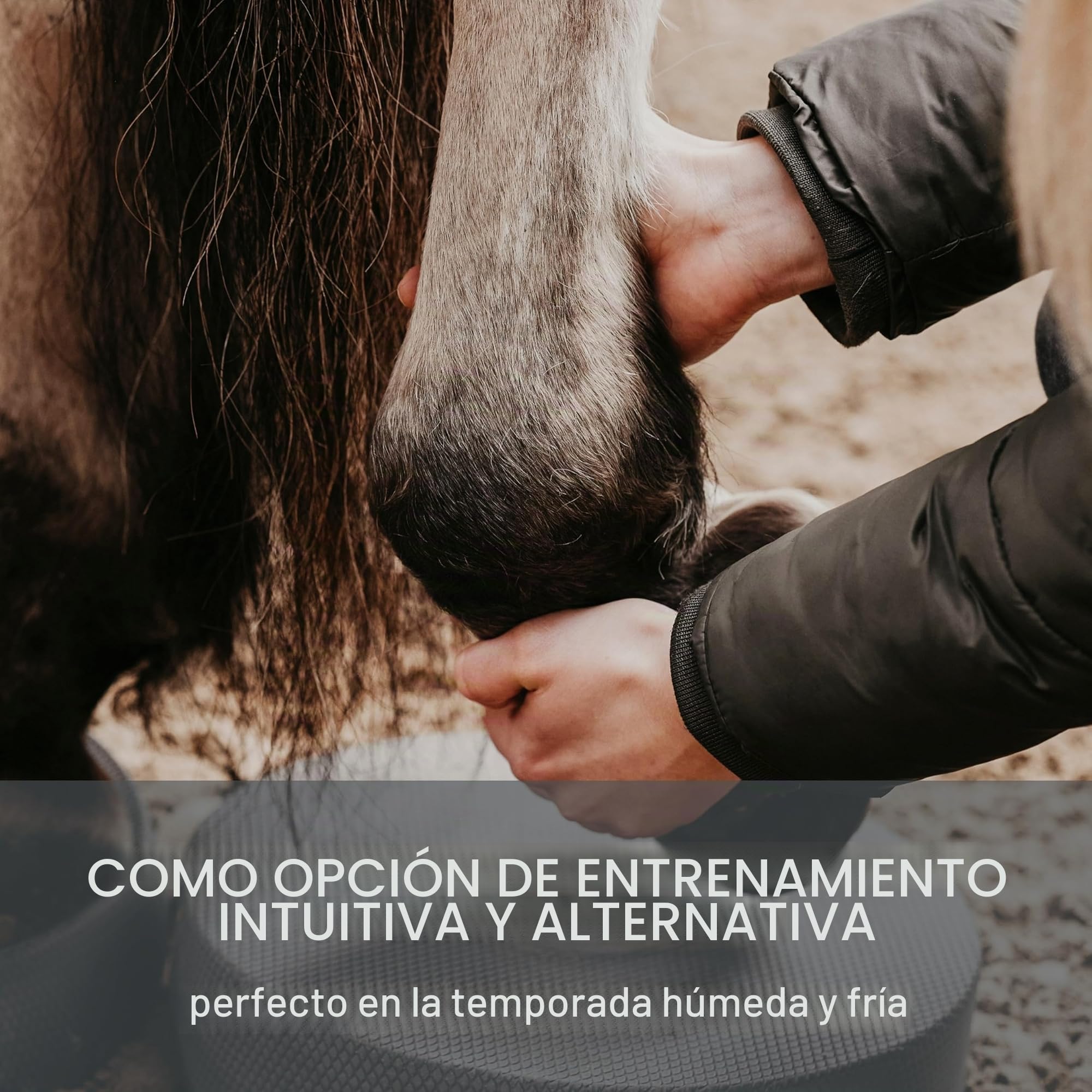 Juego de 2 almohadillas de equilibrio para caballos, accesorios para el trabajo en el suelo con caballos, 2 almohadillas de equilibrio para entrenamiento variable y empleo para