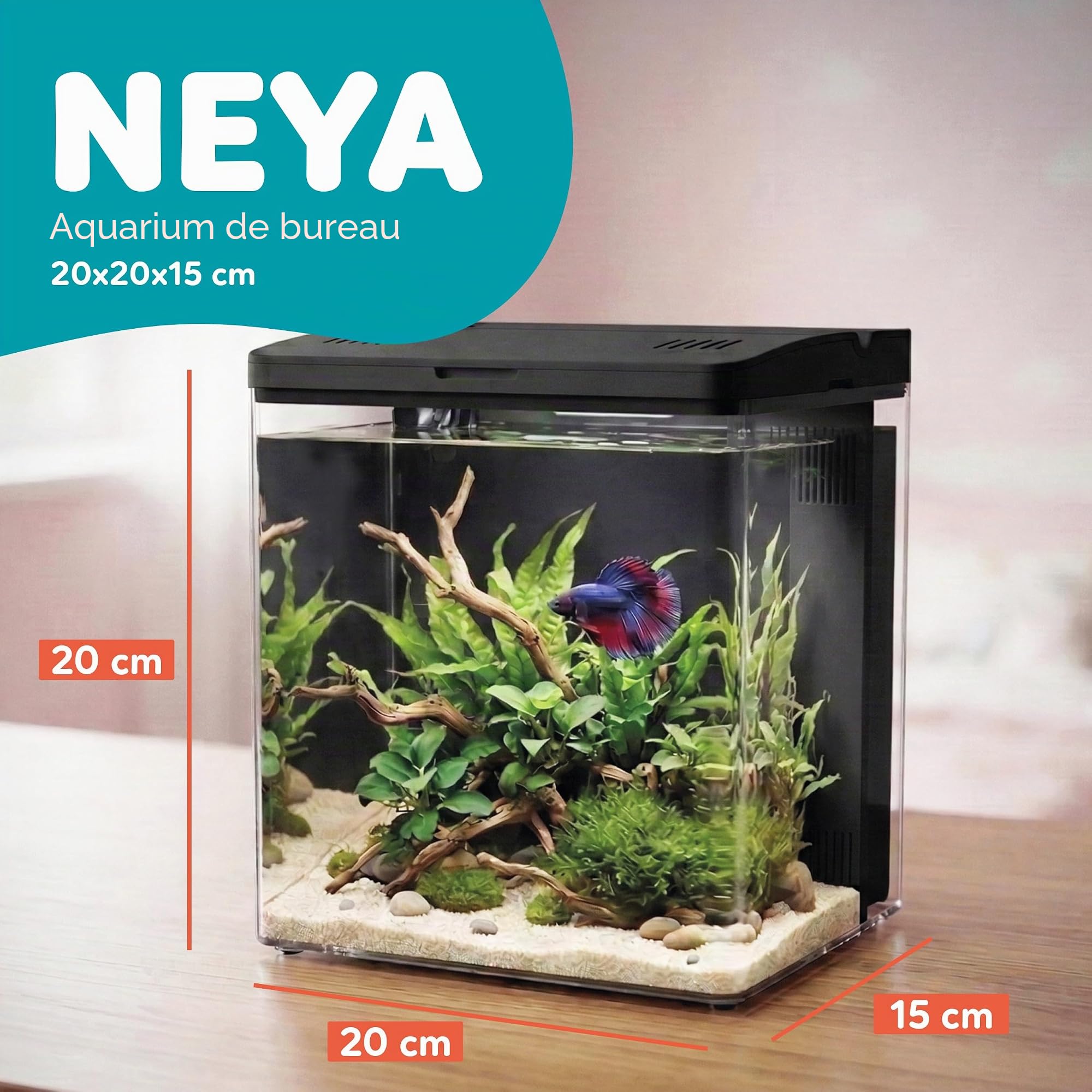 AQPET Neya Aquarium de Bureau avec Filtre et Pompe incluses, LED 5 Modes et Ports USB – Mini Aquarium en Acrylique avec Couvercle ouvrant, idéal pour Betta, Caridines et Plantes Aquatiques 5 l (Noir)