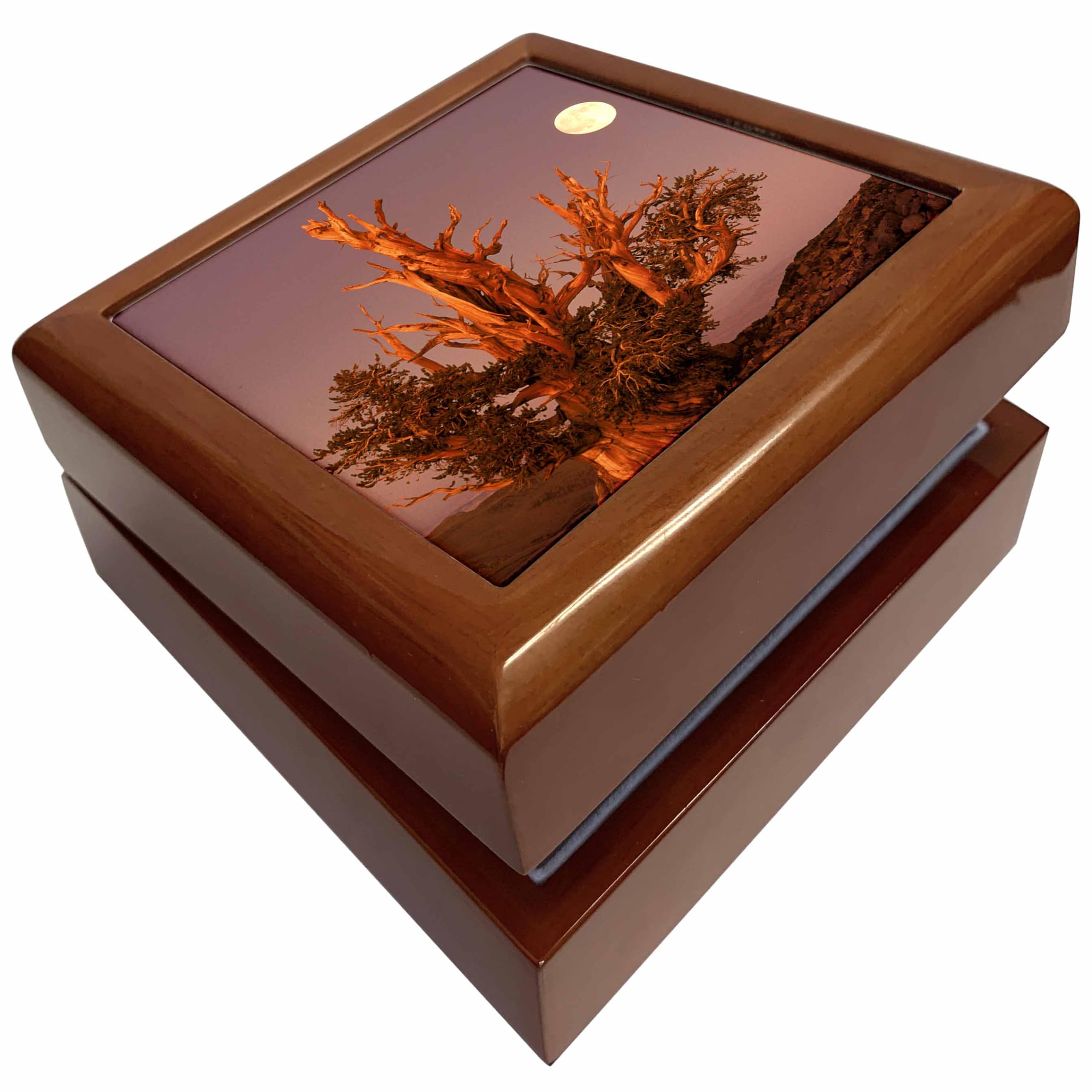3dRose California, Full moon in Bristlecone Pine Forest - US05 BJA0199 - Jaynes Gallery, Jewelry Box jb-88197-1