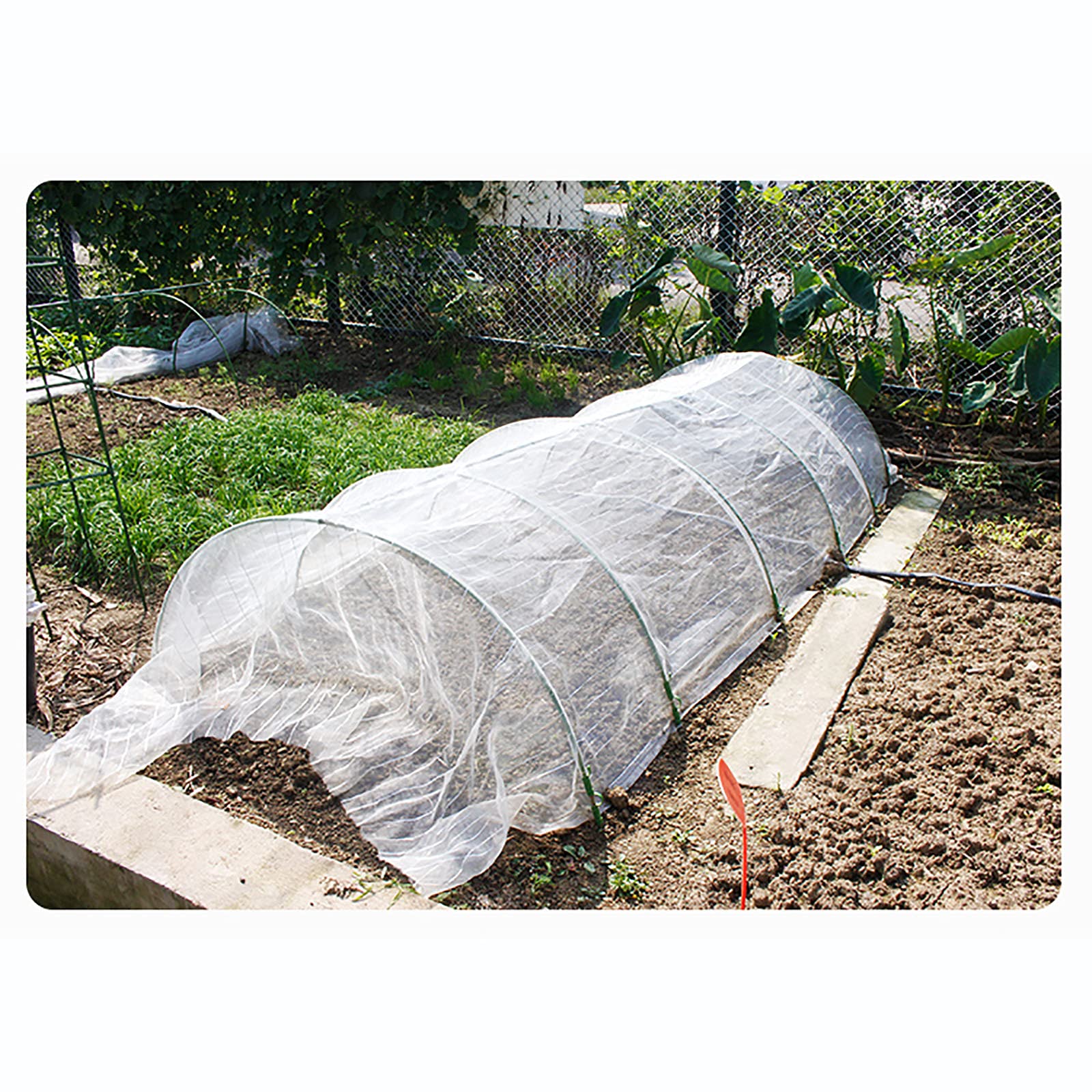 Mini Serre de Jardin Portative Arquée, Serre de Jardin Tente pour Plantes avec Cerceaux de Serre et Film PE, Multifonctionnelle Tomate Légumes Serre pour Plantes/Fleurs/Légumes