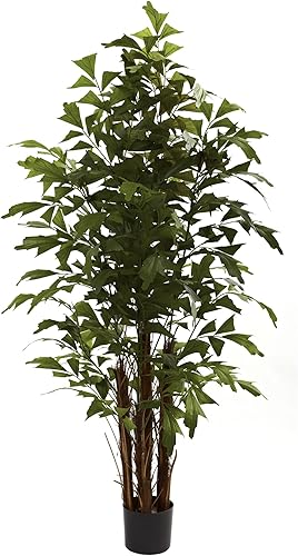 Nearly Natural Palmera cola de pez de 6 pies