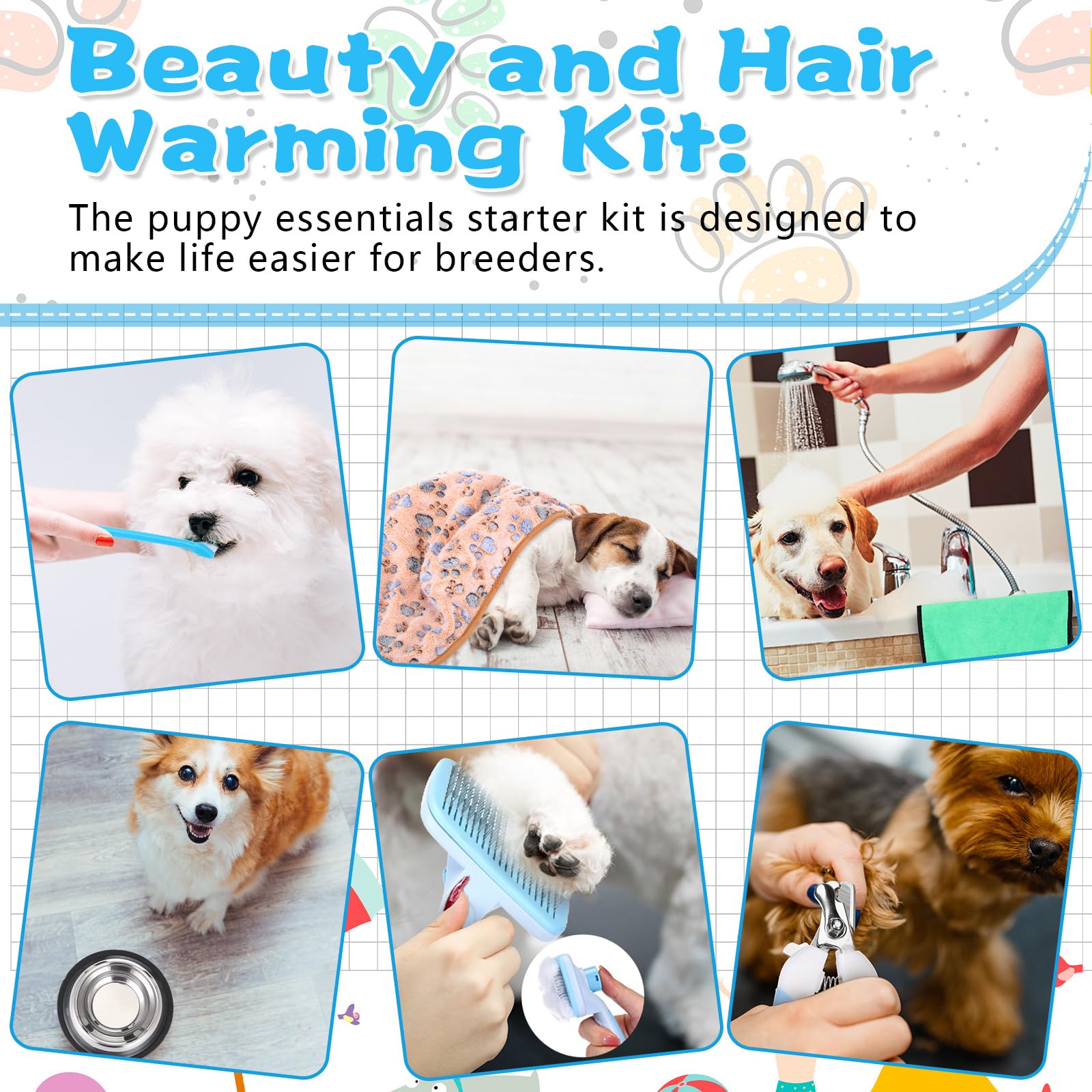 65 Pcs Puppy Supplies Starter Kit Small Dog Essentials Includes Dog Leash, Toys, Bowl, Brushes, Water Bottles, pet Blankets Puppy Accessories for New Welcome Gift Supplies(Cool,Blue) - image 6