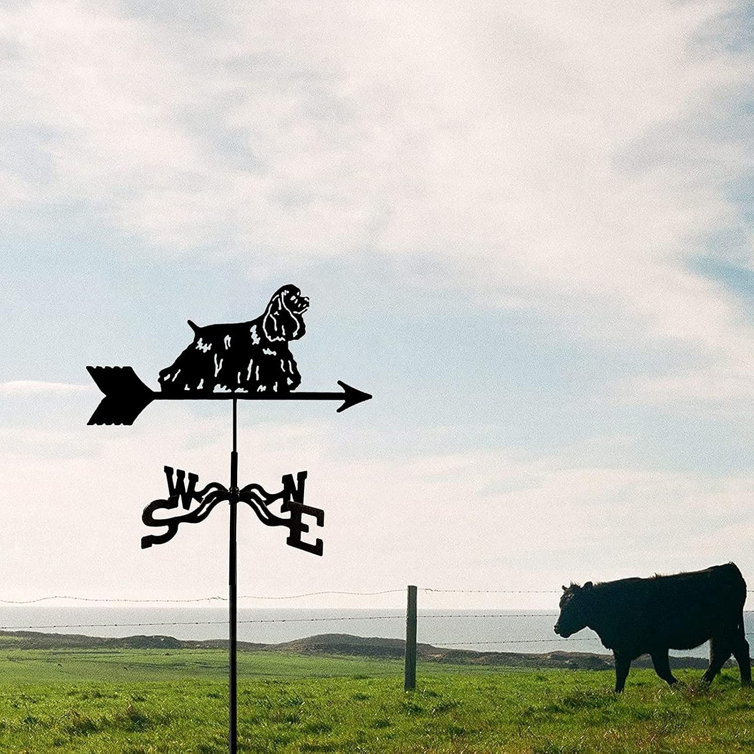 Weathervane,Weathervane Cast Iron with Roof Mount, Weather Vane Garden Metal Decorations Wind Direction Indicator for Outdoor Roof Farm Yard