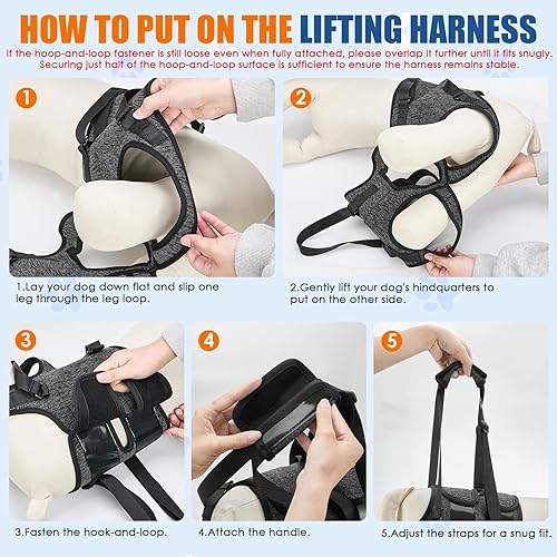 Miniatura 9 de SlowTon Arnés de elevación para perros, arnés ajustable para perros medianos y grandes, soporte para patas traseras para ayudar a rehabilitar, arnés