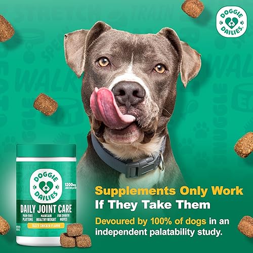 Miniatura 2 de Doggie Dailies, Suplemento de cadera y articulaciones para perros, condroitina glucosamina, masticables prémium para cadera y articulaciones para