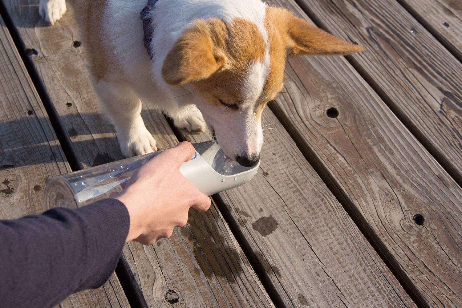 PETKIT EVERSWEET Tragbare Trinkflasche für Hund, Haustiere,BPA frei, Wasserschüssel,400ml,Grau