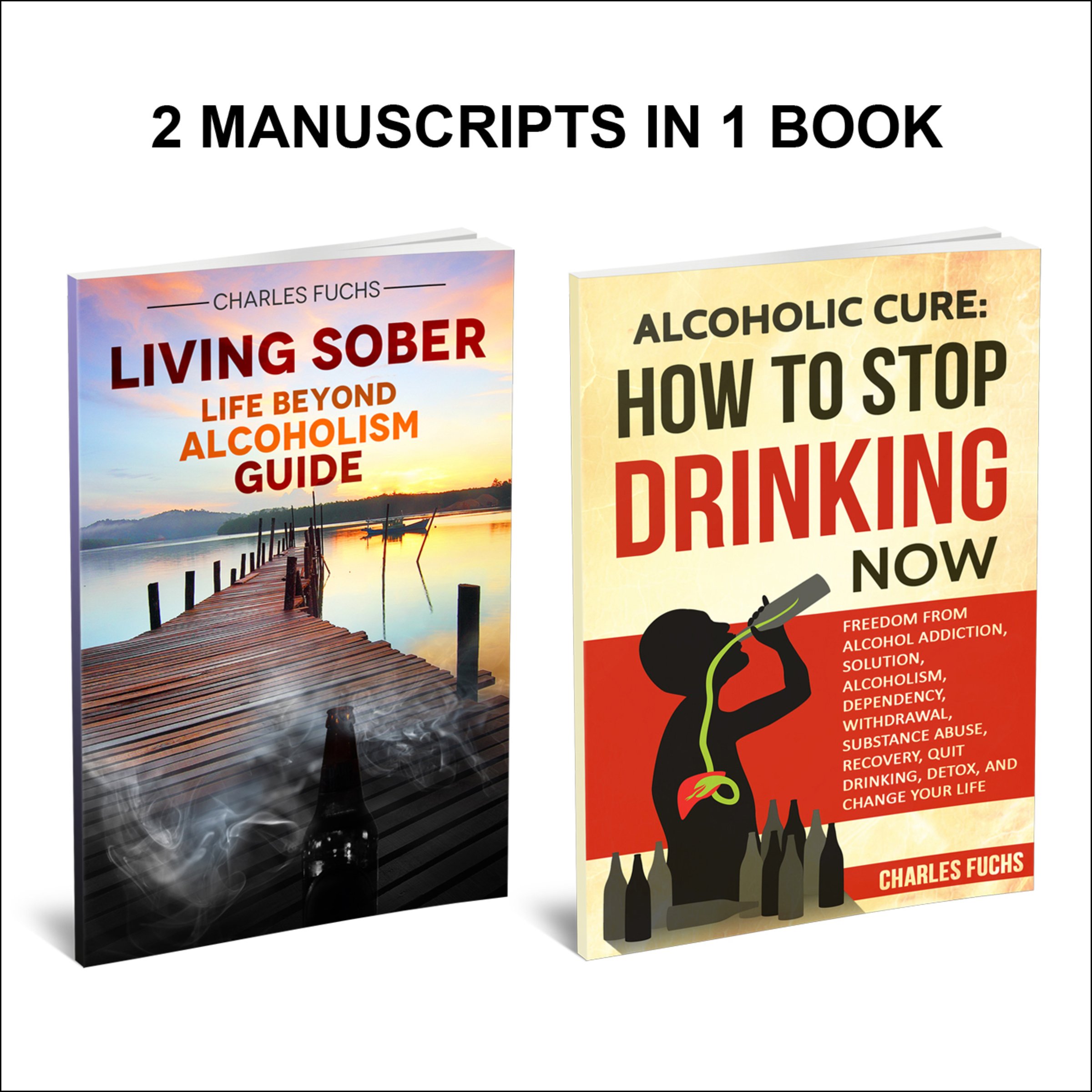 Cover art for How to Stop Drinking: Life Beyond Alcoholism