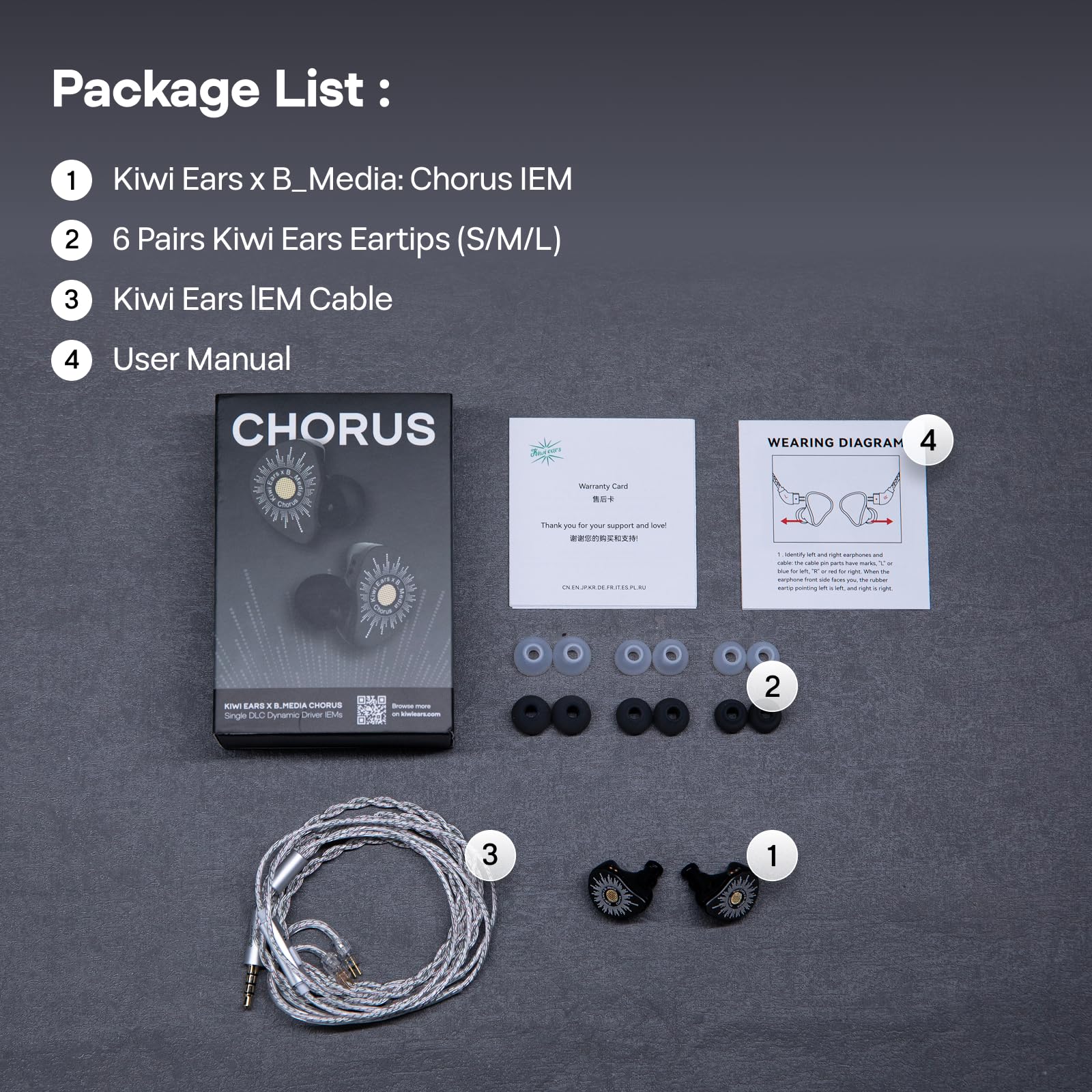 Kiwi Ears x B_Media Chorus In-Ear-Monitor, DLC-Membran Dynamic Driver IEM, mit CNC-Metallblende, kabelgebundene Ohrhörer mit doppeltem versilbertem Kabel für Musiker (1, Schwarz, 3,5 mm