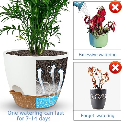 Miniatura 4 de Dorcy Macetero de riego automático de 12 pulgadas, macetas grandes con depósito extraíble profundo y agujeros de drenaje de malla múltiple, macetas