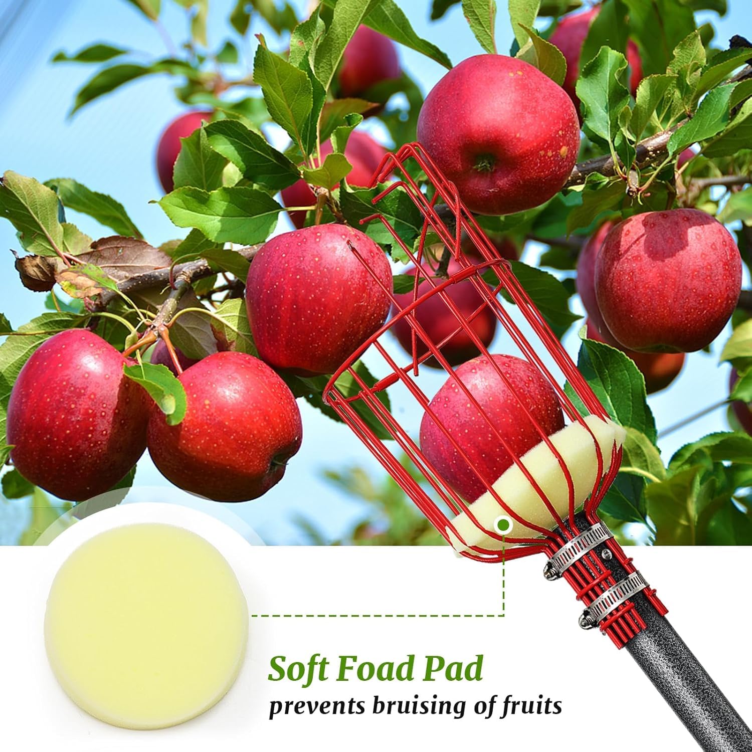 FLY HAWK Raccogli frutta con manico telescopico 5.5FT
