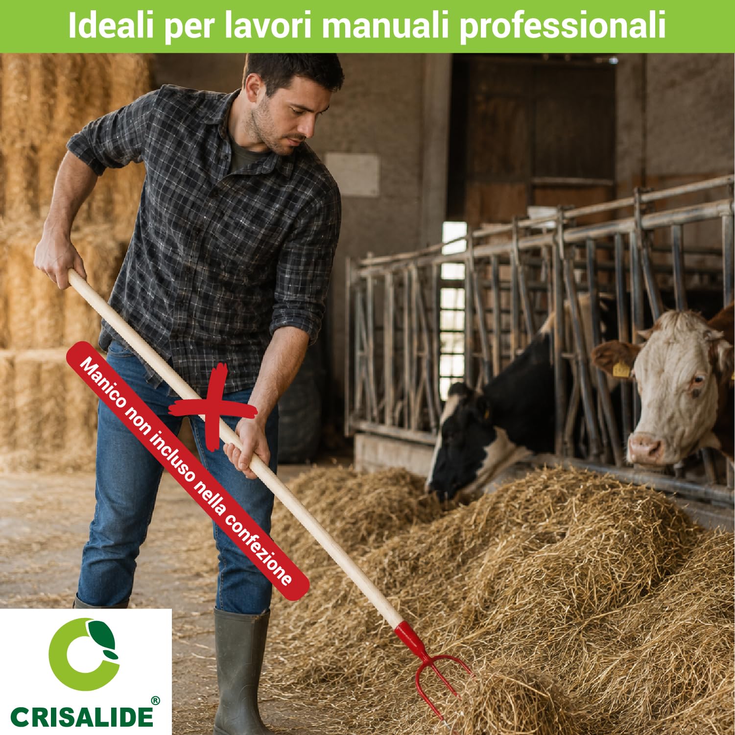 Crisalide® Forca per Fieno a 3 Denti Senza Manico – Forca in Acciaio Forgiato per Paglia, Fieno, Erbacce e Uso Agricolo Professionale