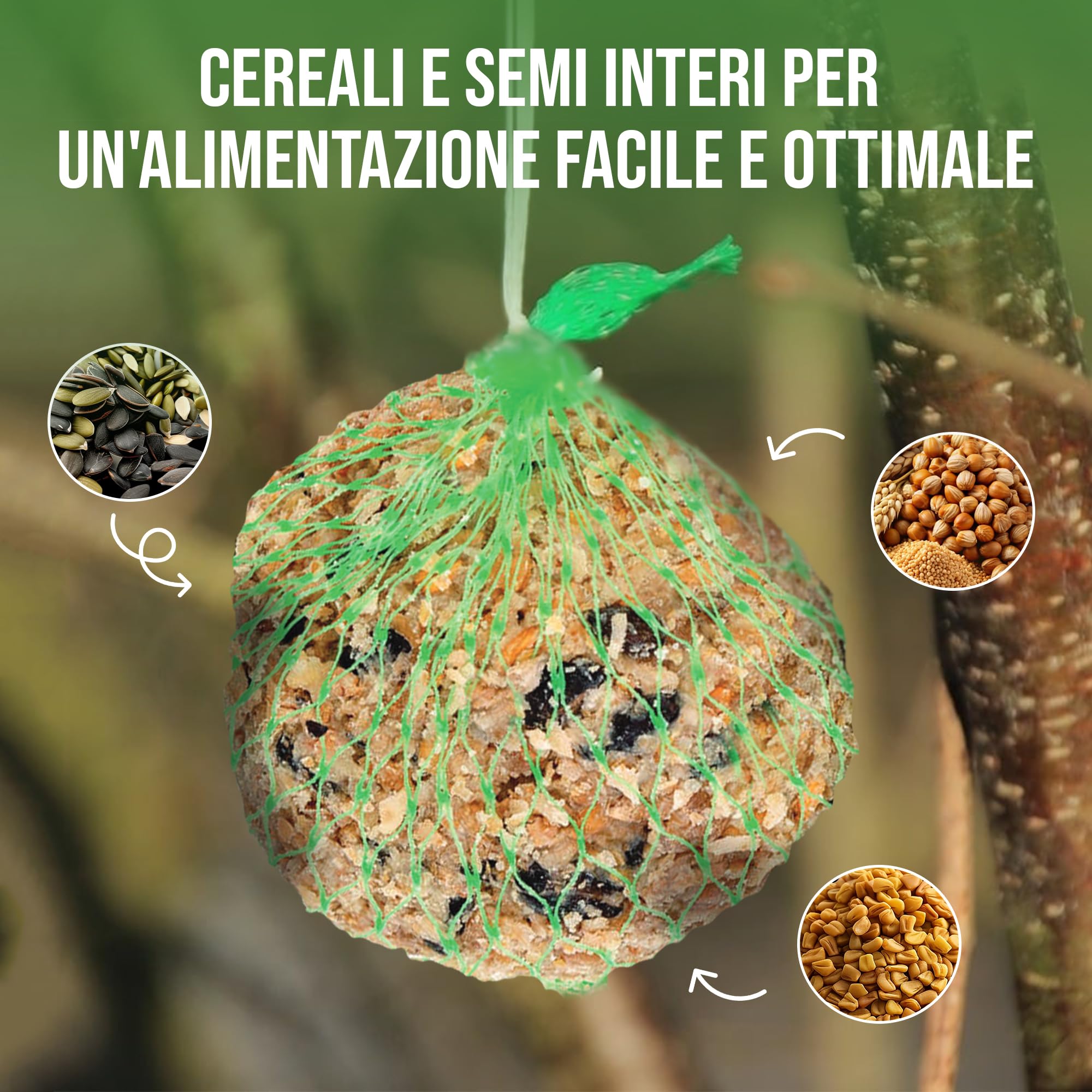 LERAVA Palline di grasso (65 pezzi) - Mangime energetico per uccelli selvatici - Cibo invernale ricco di energia - Alimentazione naturale per uso esterno tutto l'anno per tutte le specie di uccelli