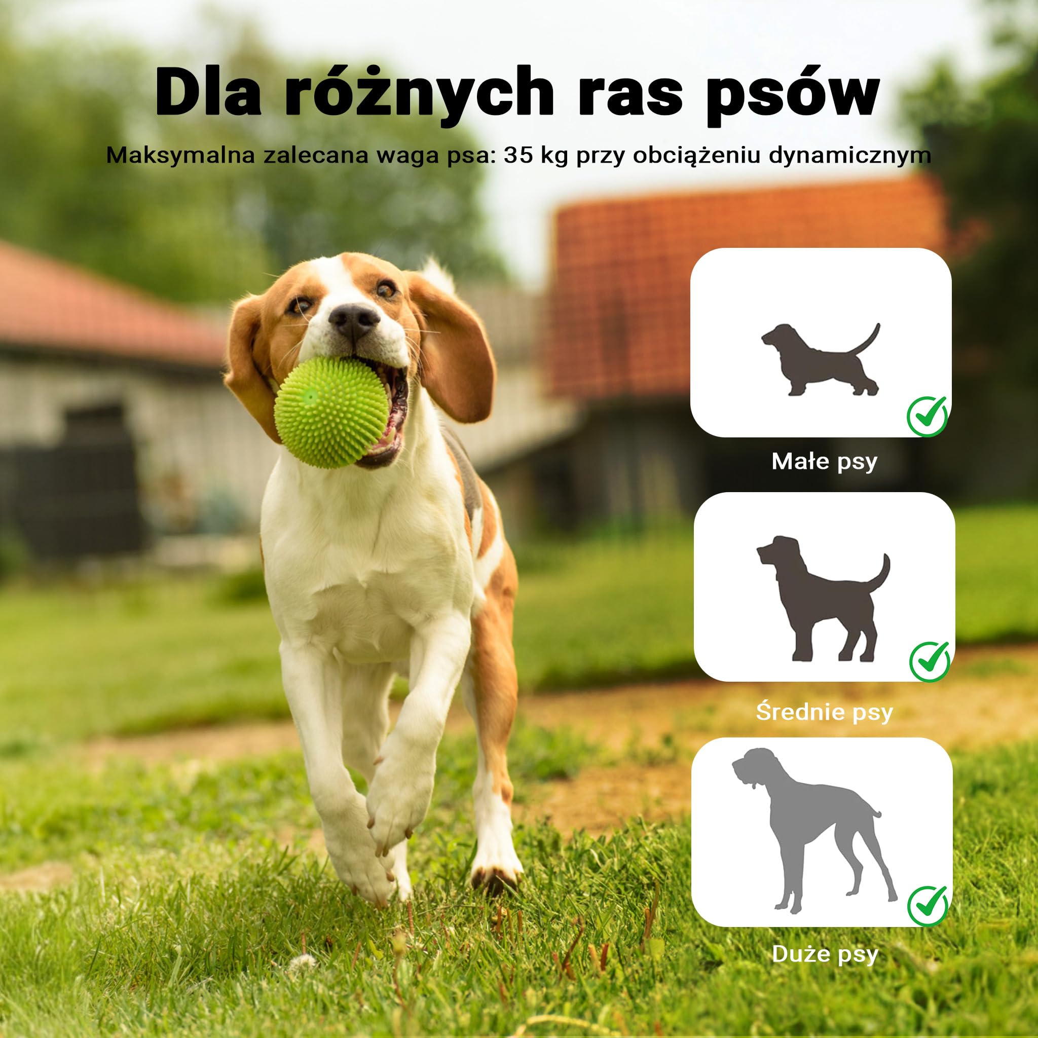 Wiltec Huśtawka agility dla psów 180x30x30cm drewniana do treningu zwinności do ogrodu i toru dla małych i dużych psów, sprzęt do zabawy i ćwiczeń