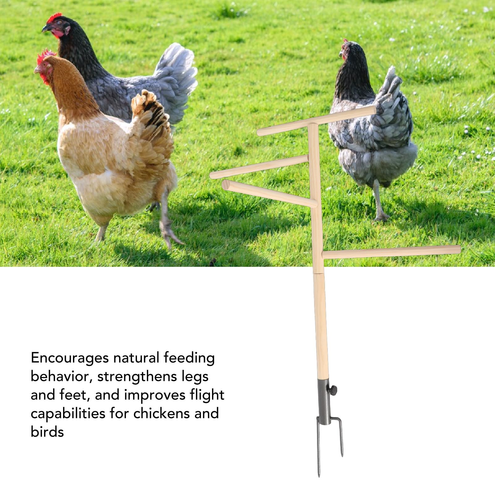Soporte para Percha de Pollo, Gran Barra de Madera con Estaca para el Suelo, Diseño Espacioso, Soporte para Percha para Pollitos, Juguetes para Múltiples Aves de Corral y Pájaros