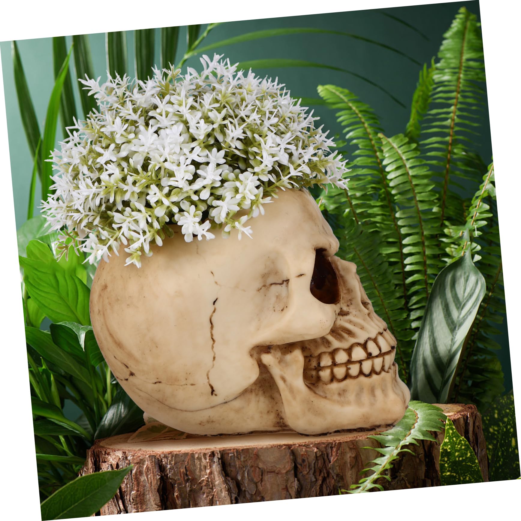 Amazon.co.jp: HANABASS スカル型製植木鉢 小型多肉植物用プランター