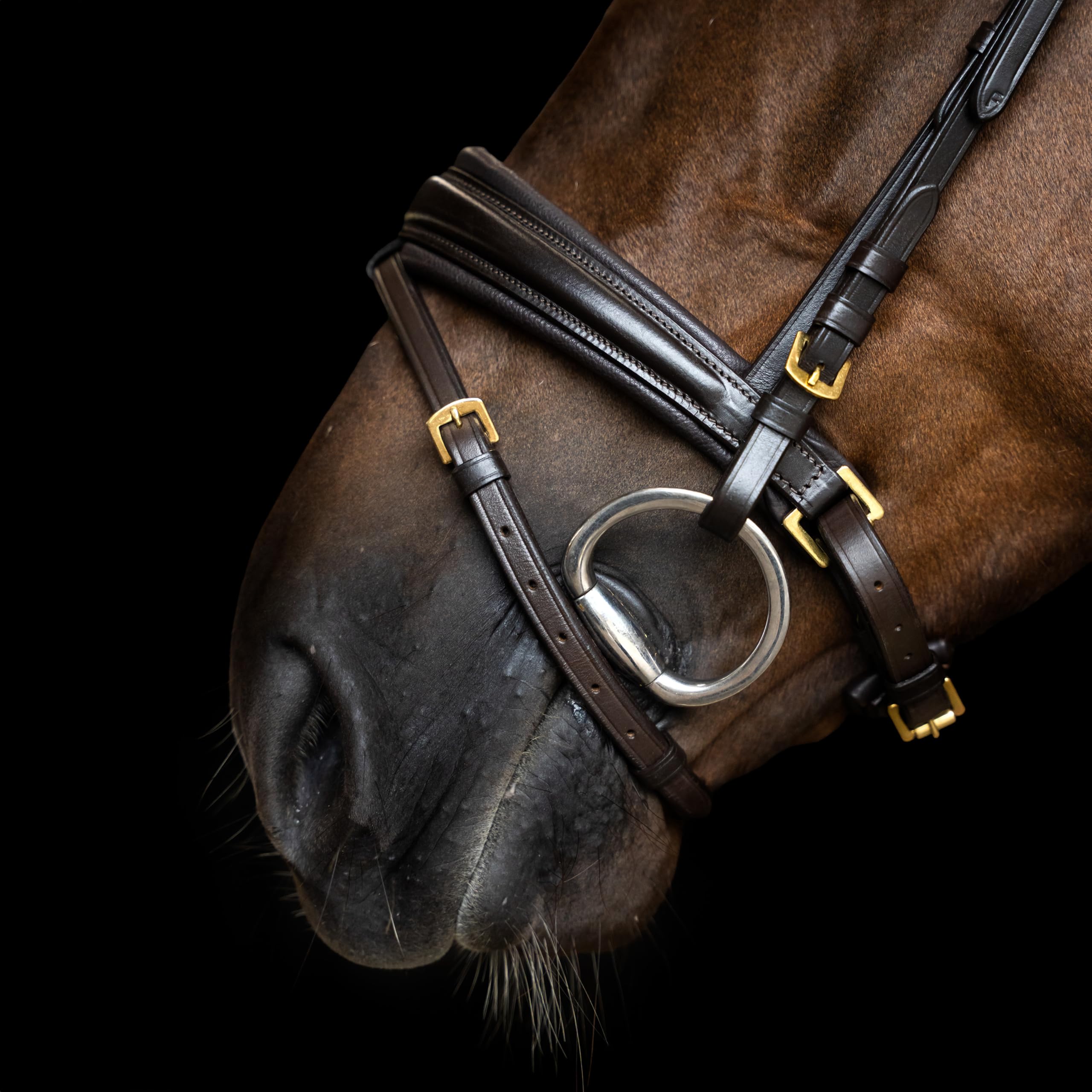 Imperial Riding Briglia IRH combina Sleek, Cavezza Inglese con Collo ergonomico e Cinghia di bloccaggio Rimovibile, Marrone, COB