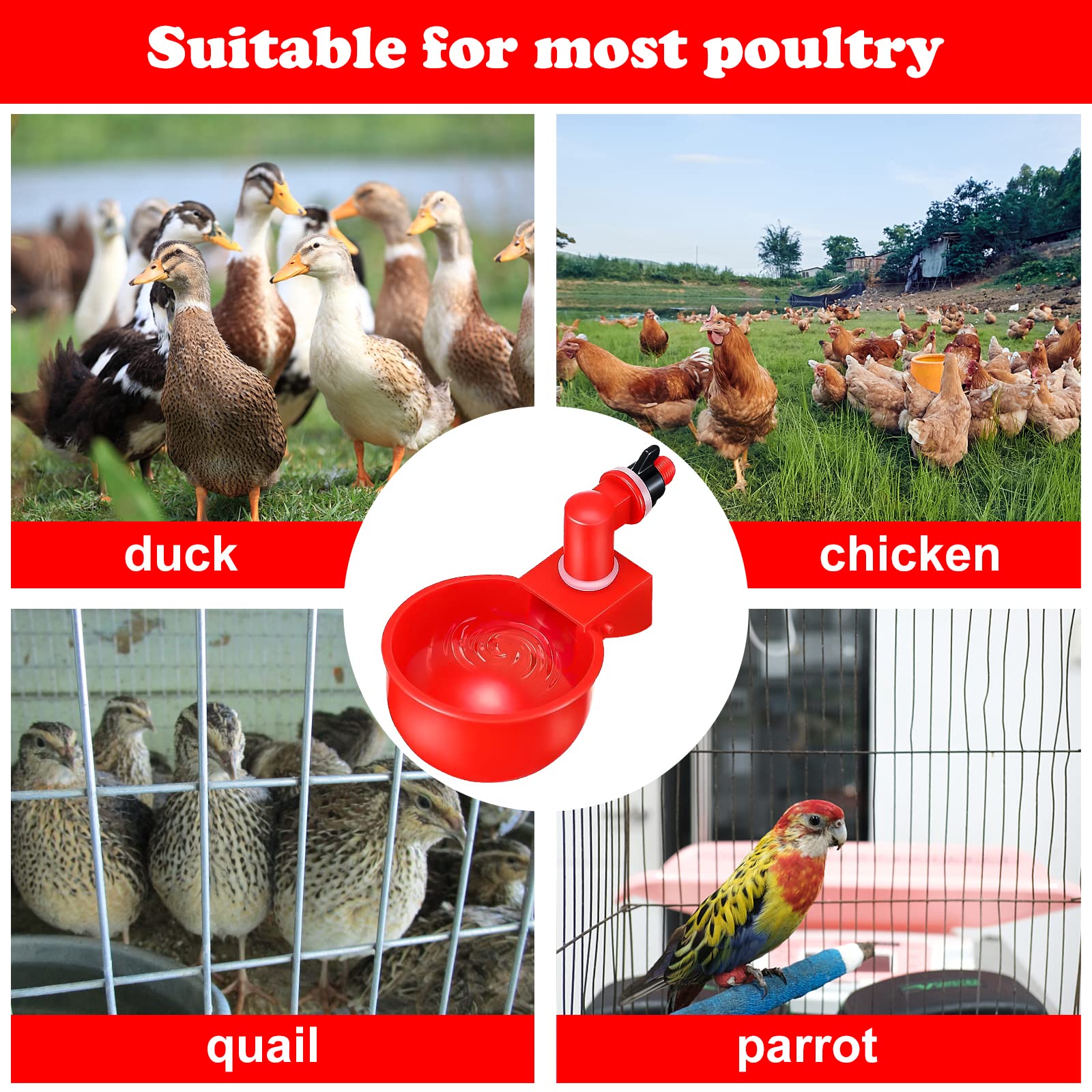 Bebedero Automático de Plástico para Pollos - 6 Piezas con Broca para el Agua Potable de Pollos, Patos, Gansos y Otras Aves de Corral