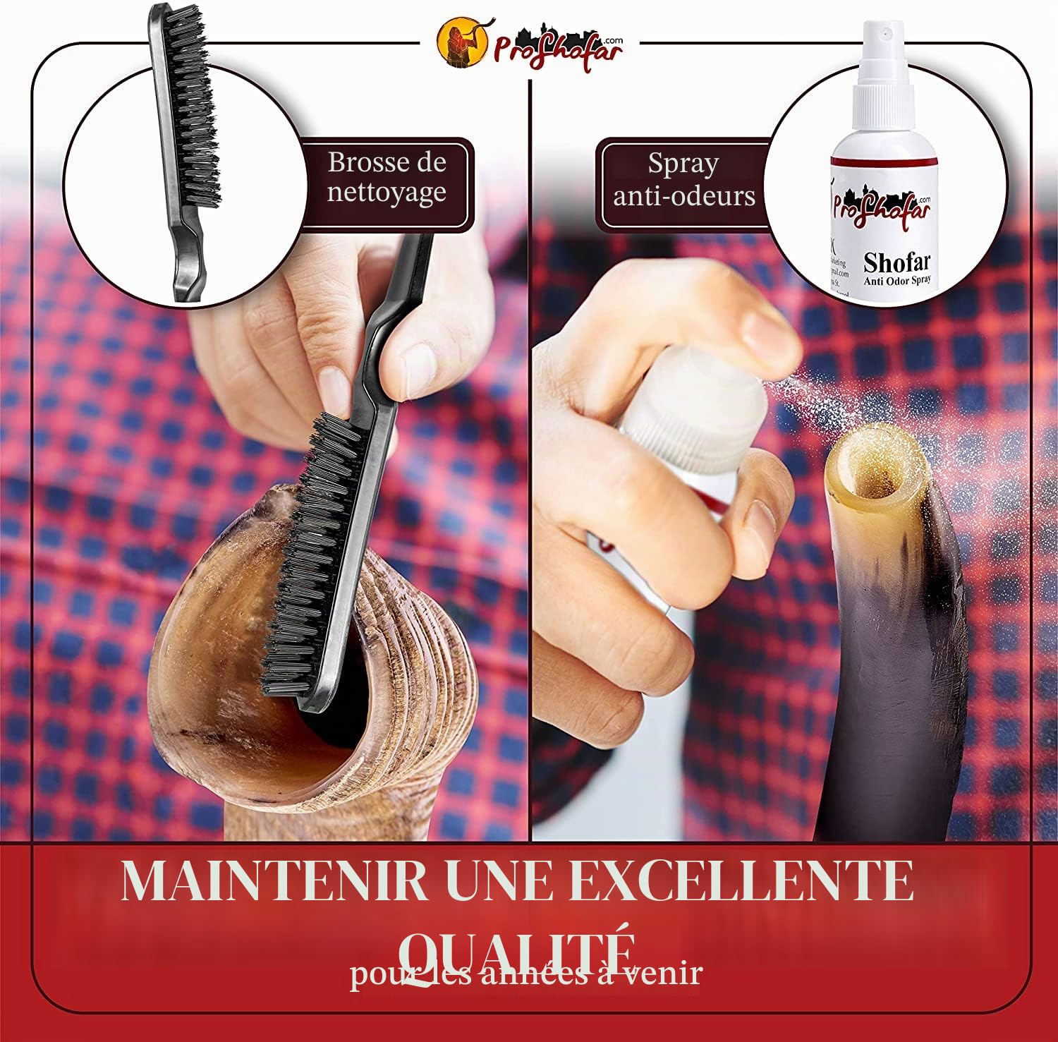 Shofar koudu casher d'Israël, certificat officiel signé kasher, corne de chophar, fabriqué en Israël, avec bonus gratuits